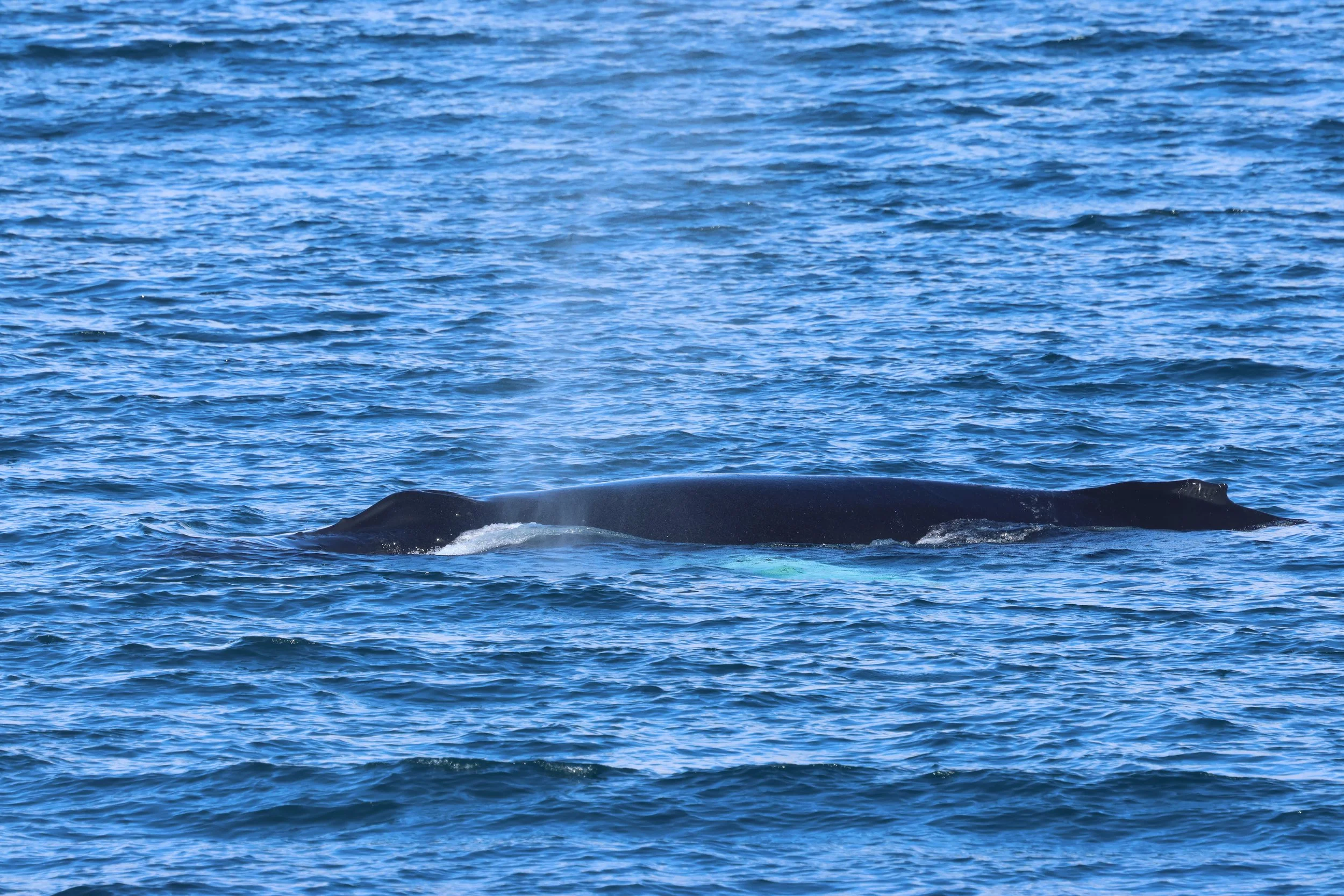 2026_04_13_0900_HOL_GISELA (24).JPG