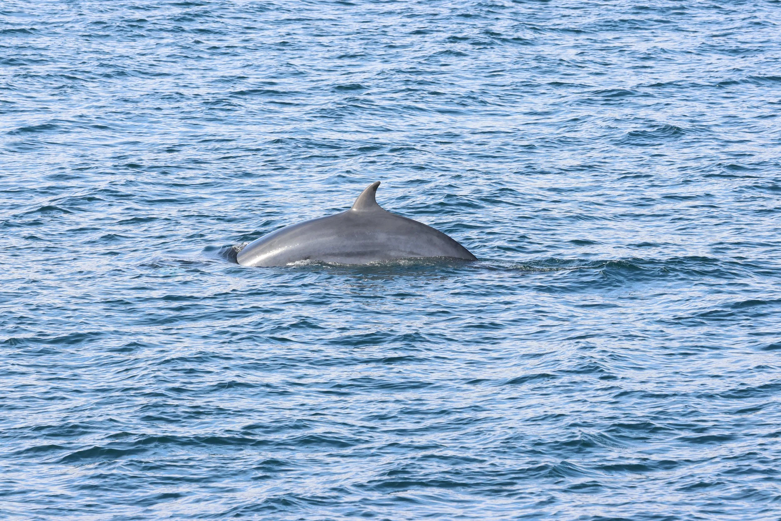 2026_04_13_0900_HOL_GISELA (5).JPG