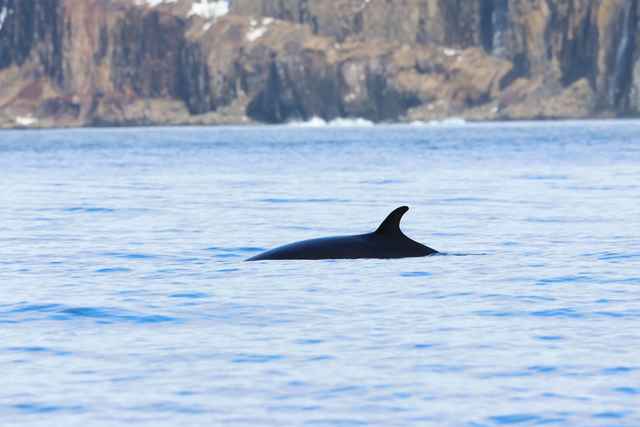 2026_04_13_1300_ DIP_GISELA(13).JPG