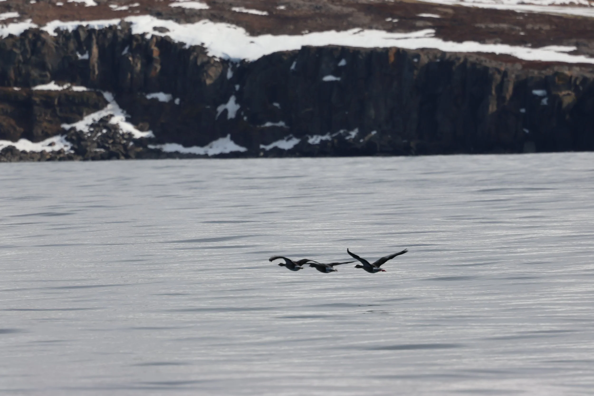 2026_04_13_1300_ DIP_GISELA(35).JPG