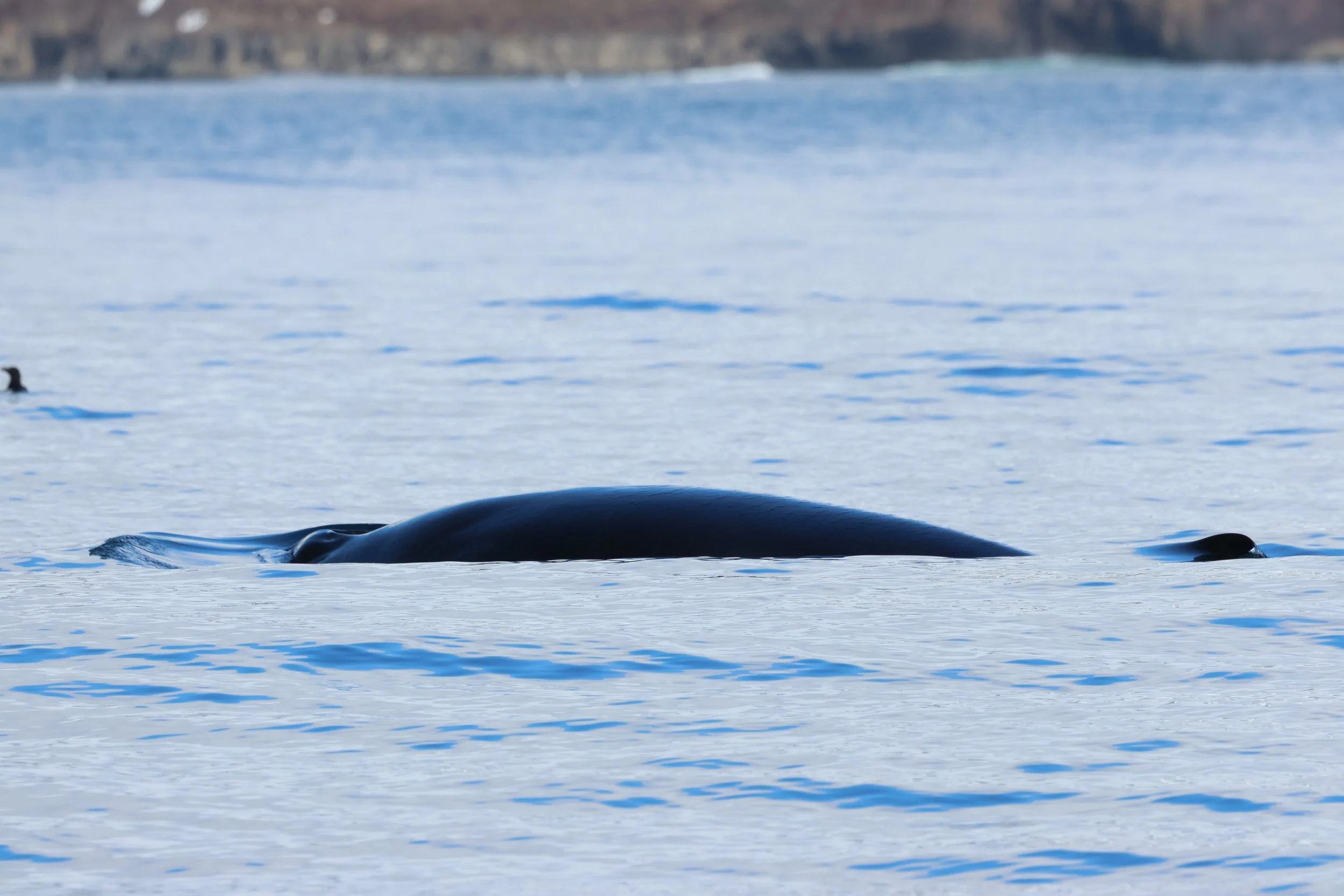 Monday, 13 April 2026