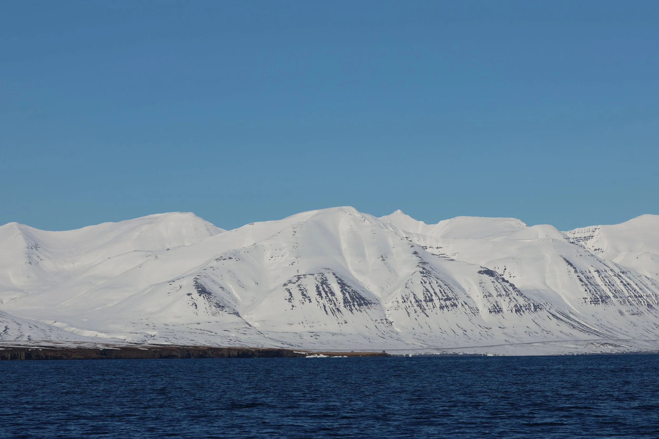 2026_04_14_1000_DIP_GISELA (17).JPG