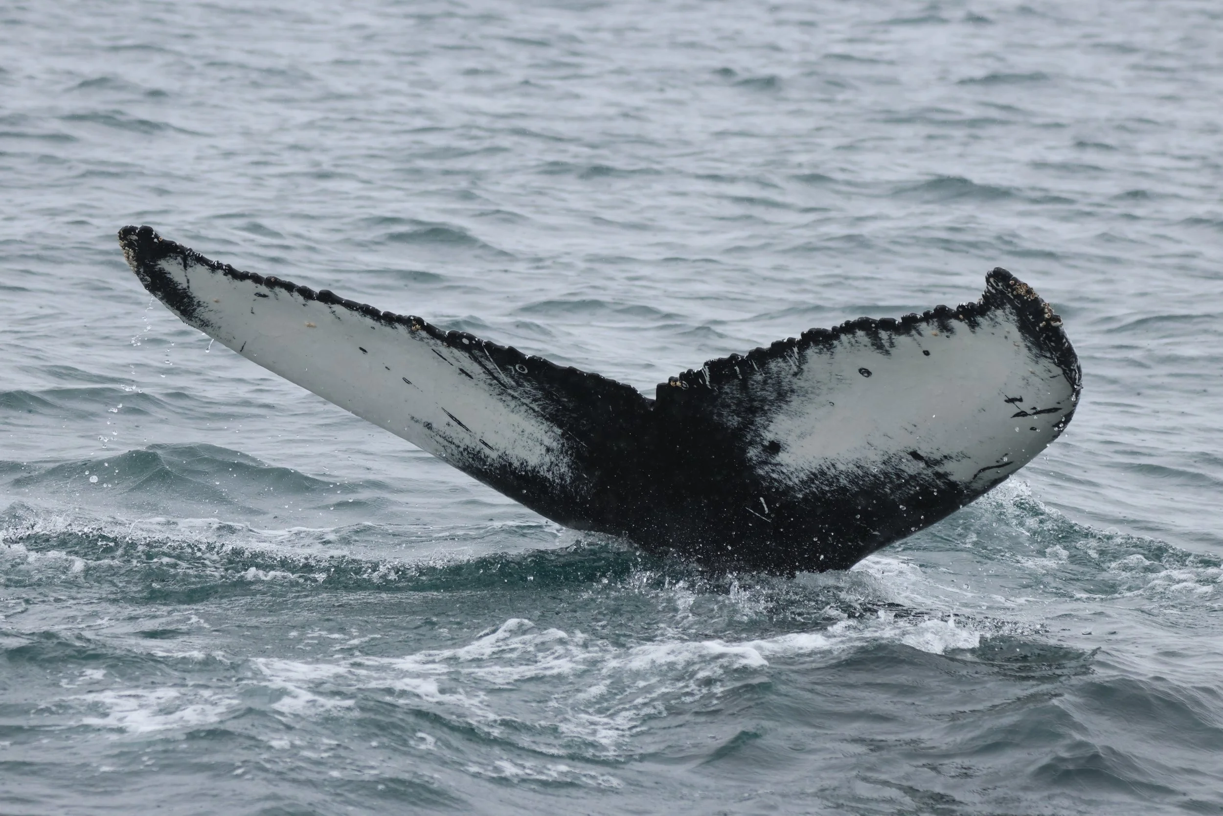 Wednesday, 15 April 2026