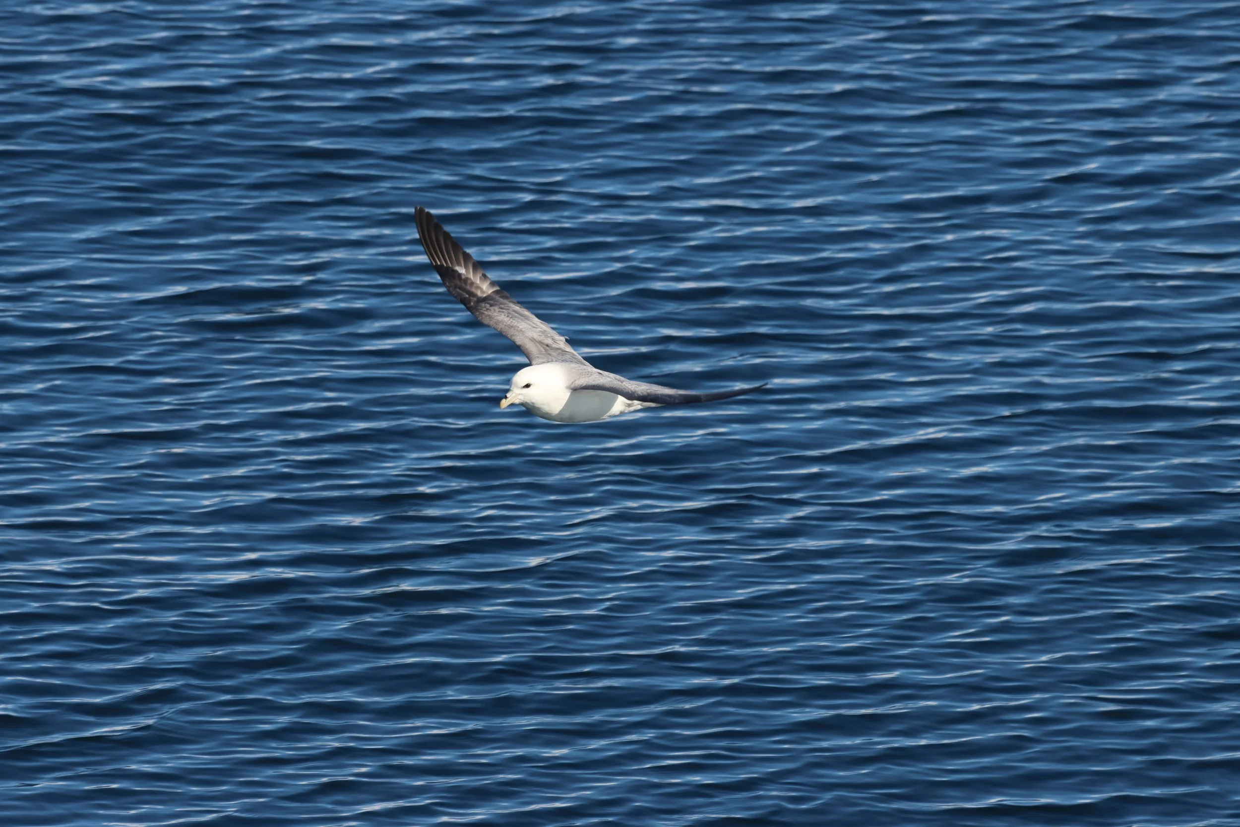 2026_04_16_0900_HOL_JACOB (50).JPG