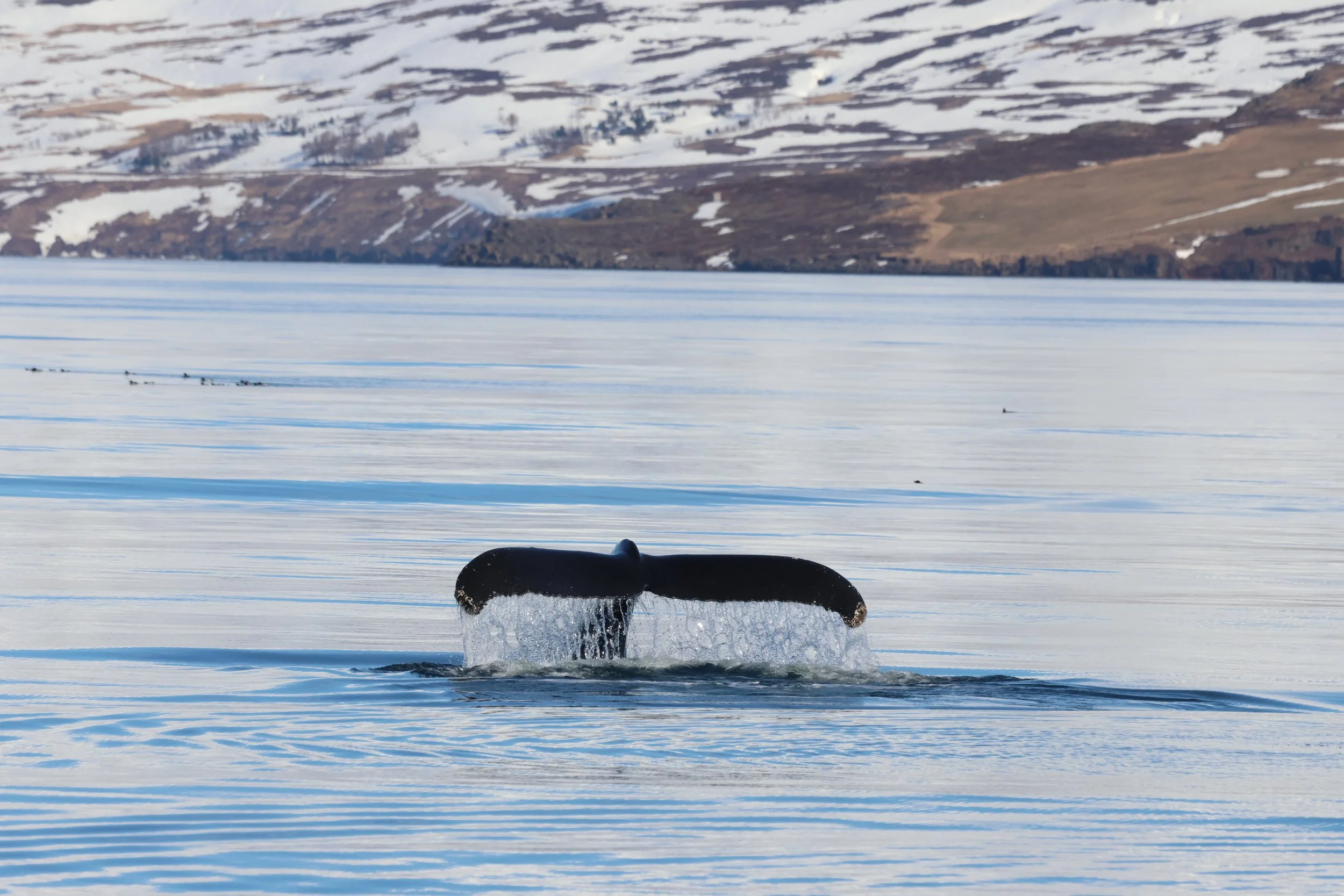 2026_04_16_0900_HOL_JACOB (23).JPG