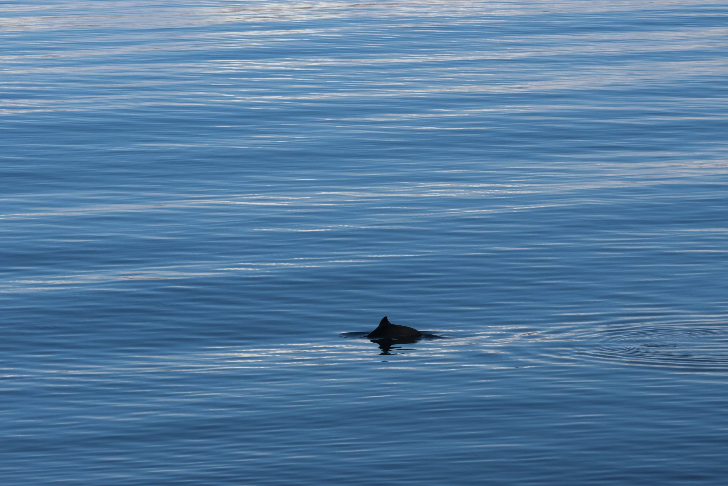 2026_04_16_0900_HOL_JACOB (44).JPG