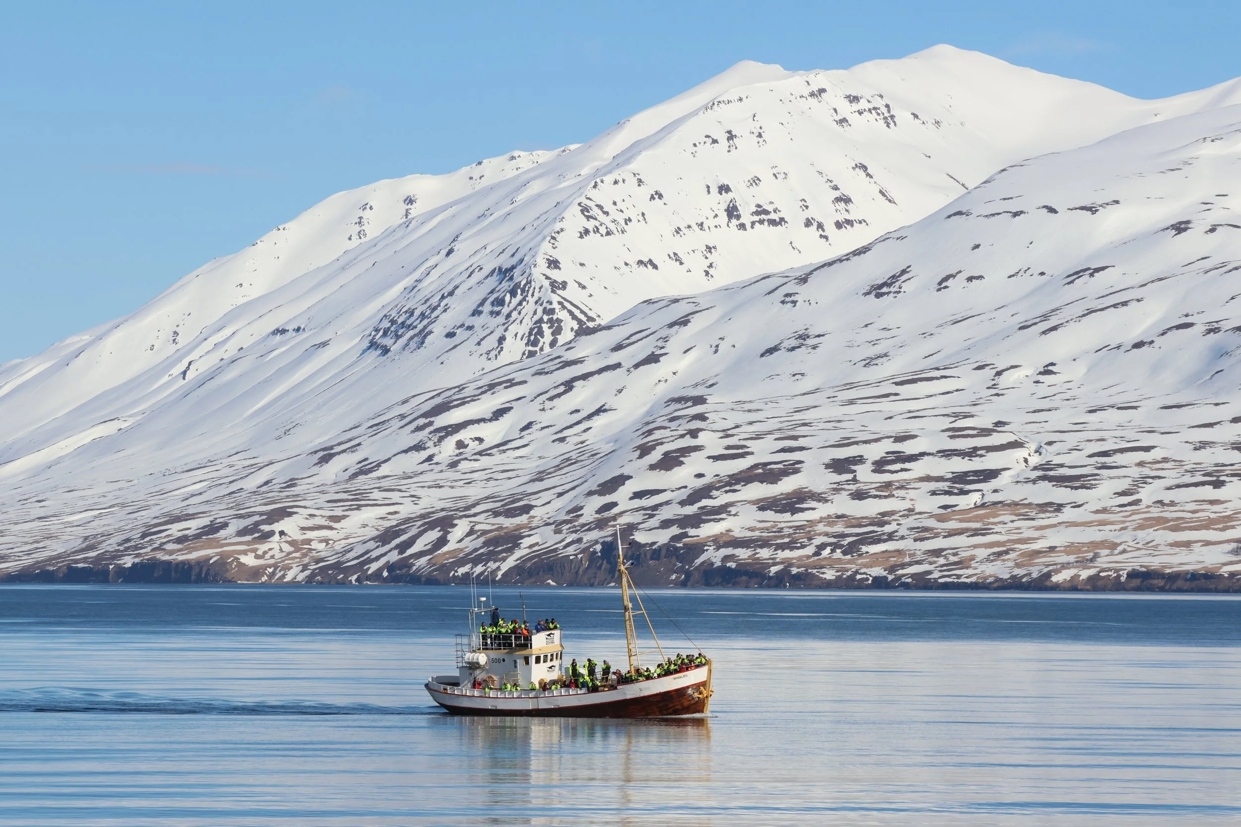 2026_04_16_0900_HOL_JACOB (46).JPG