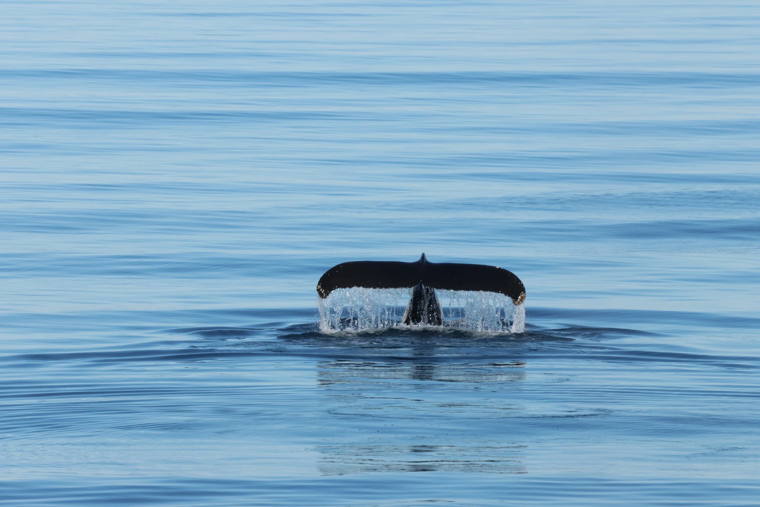 Thursday, 16 April 2026