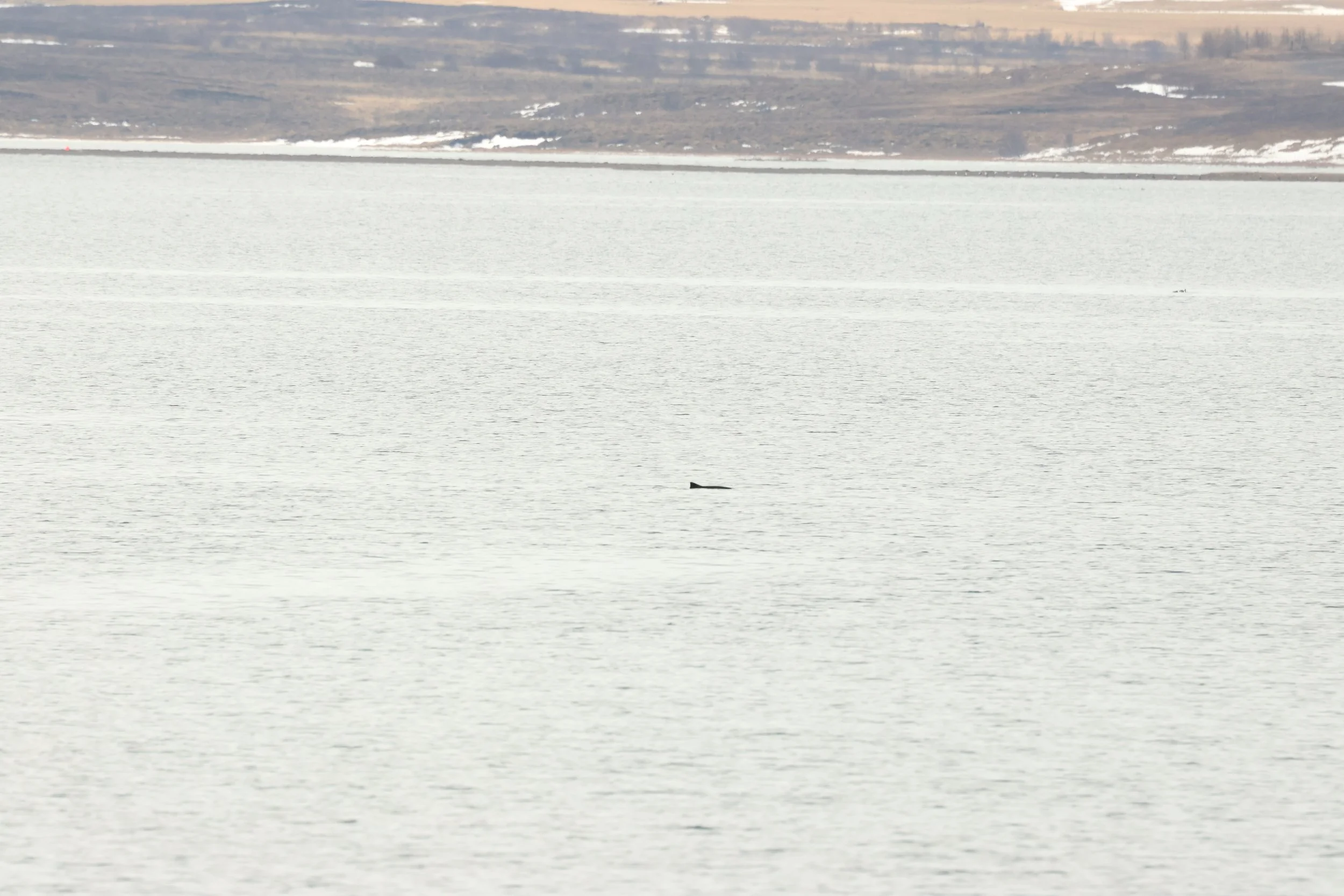 2026_04_17_0900_KON_GISELA (48).JPG