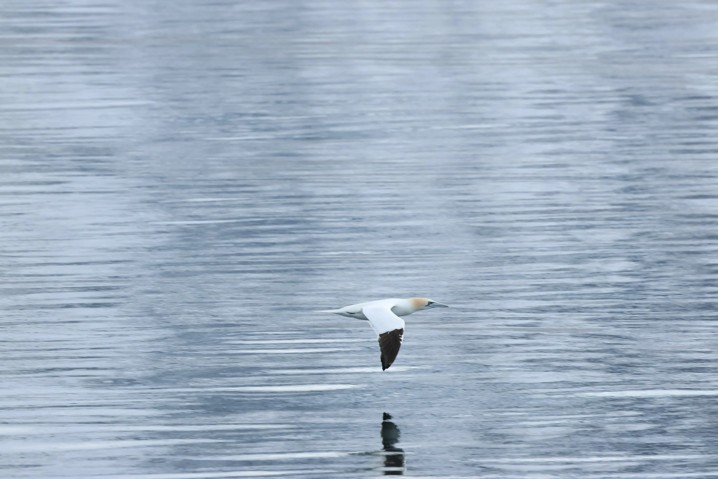 Friday, 17 April 2026