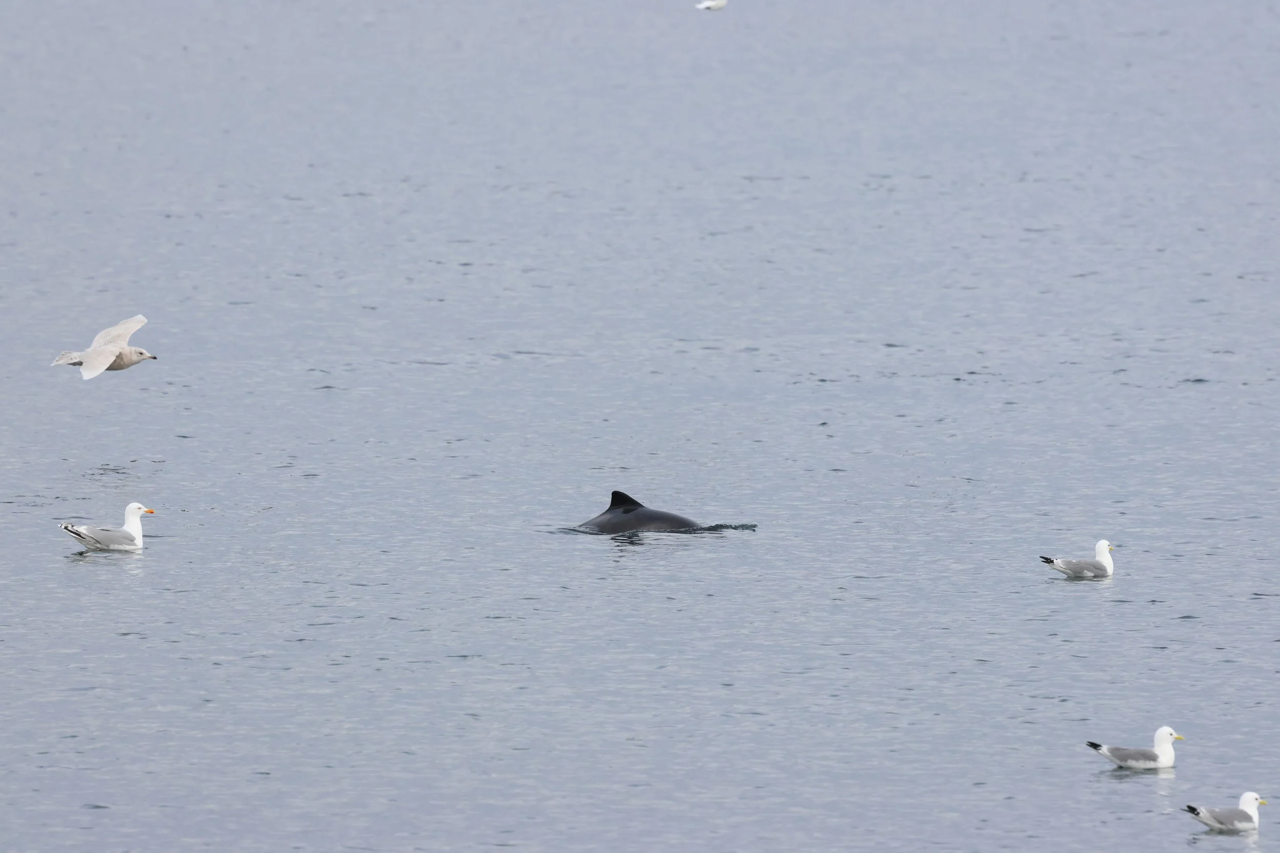 2026_04_18_0900_KON_GISELA (10).JPG