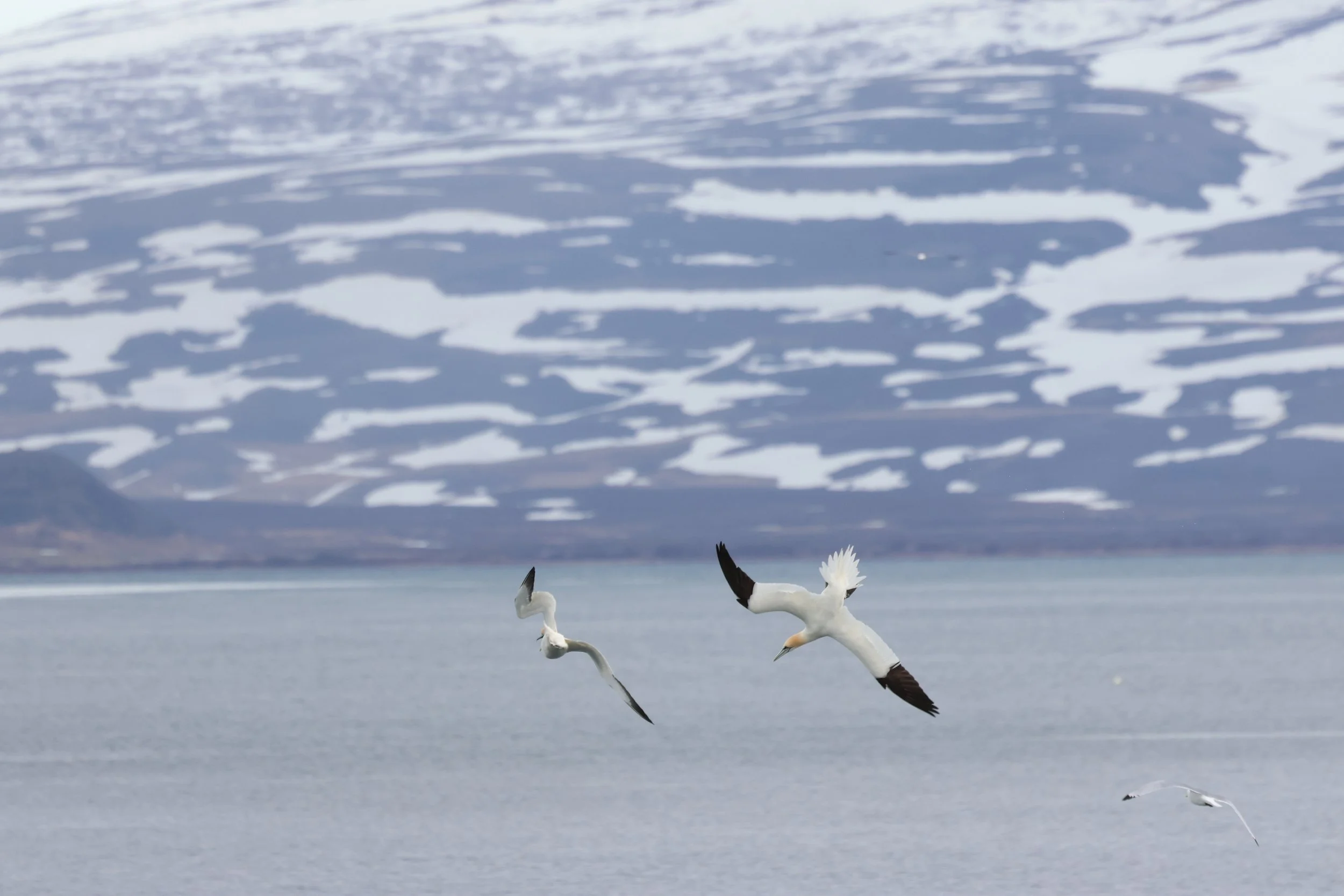 2026_04_18_0900_KON_GISELA (34).JPG