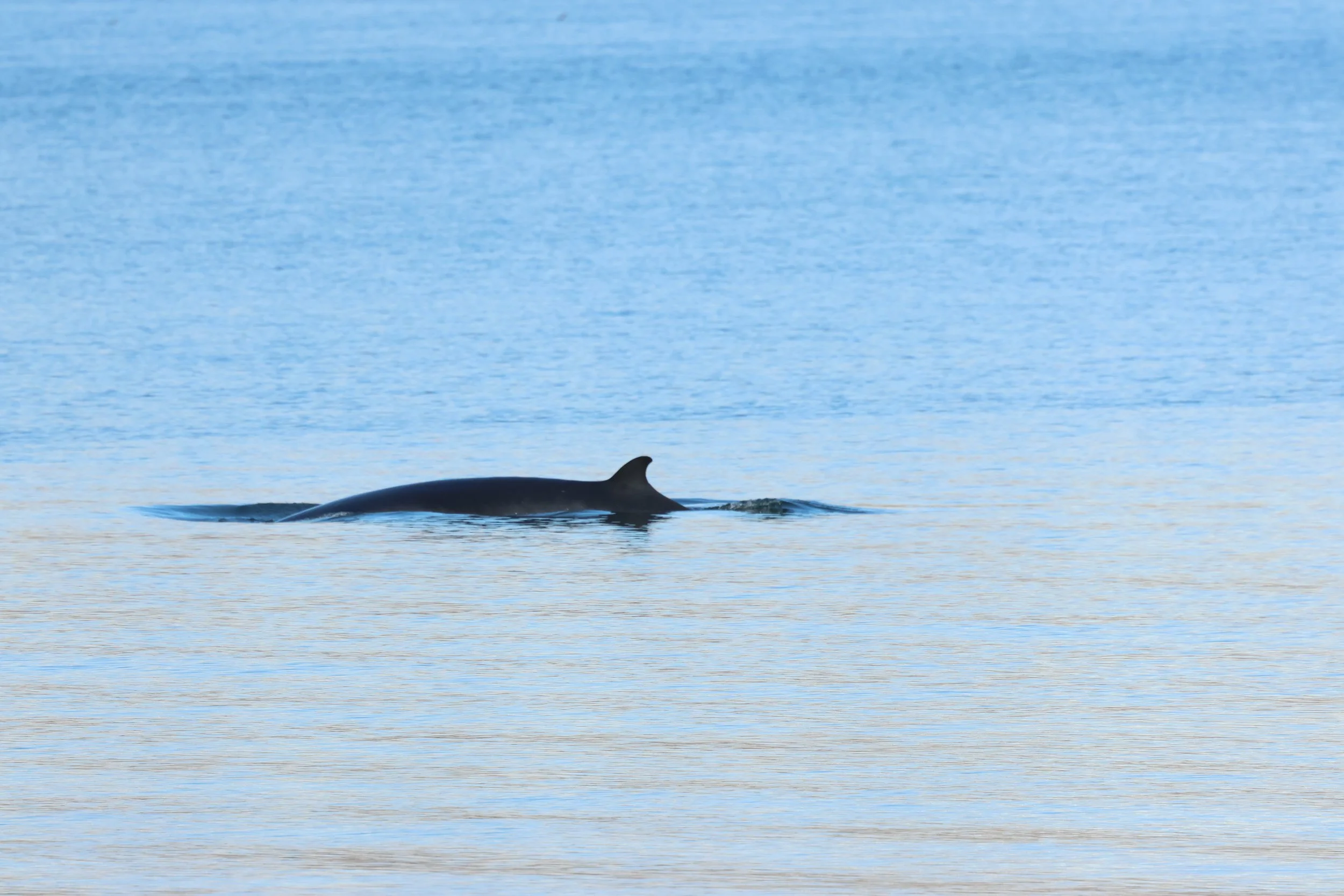 2026_04_19_0900_KON_GISELA (24).JPG