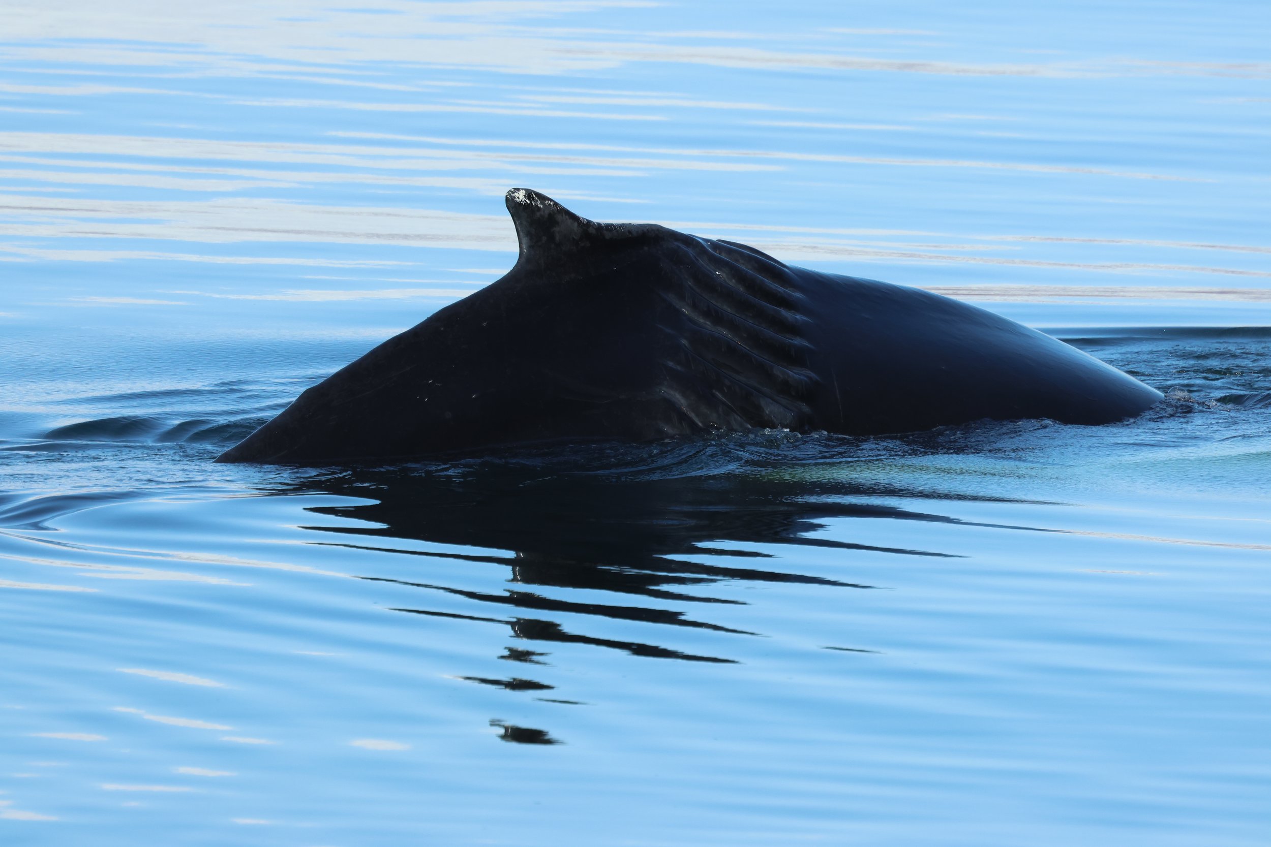 2026_04_19_0900_KON_GISELA (67).JPG