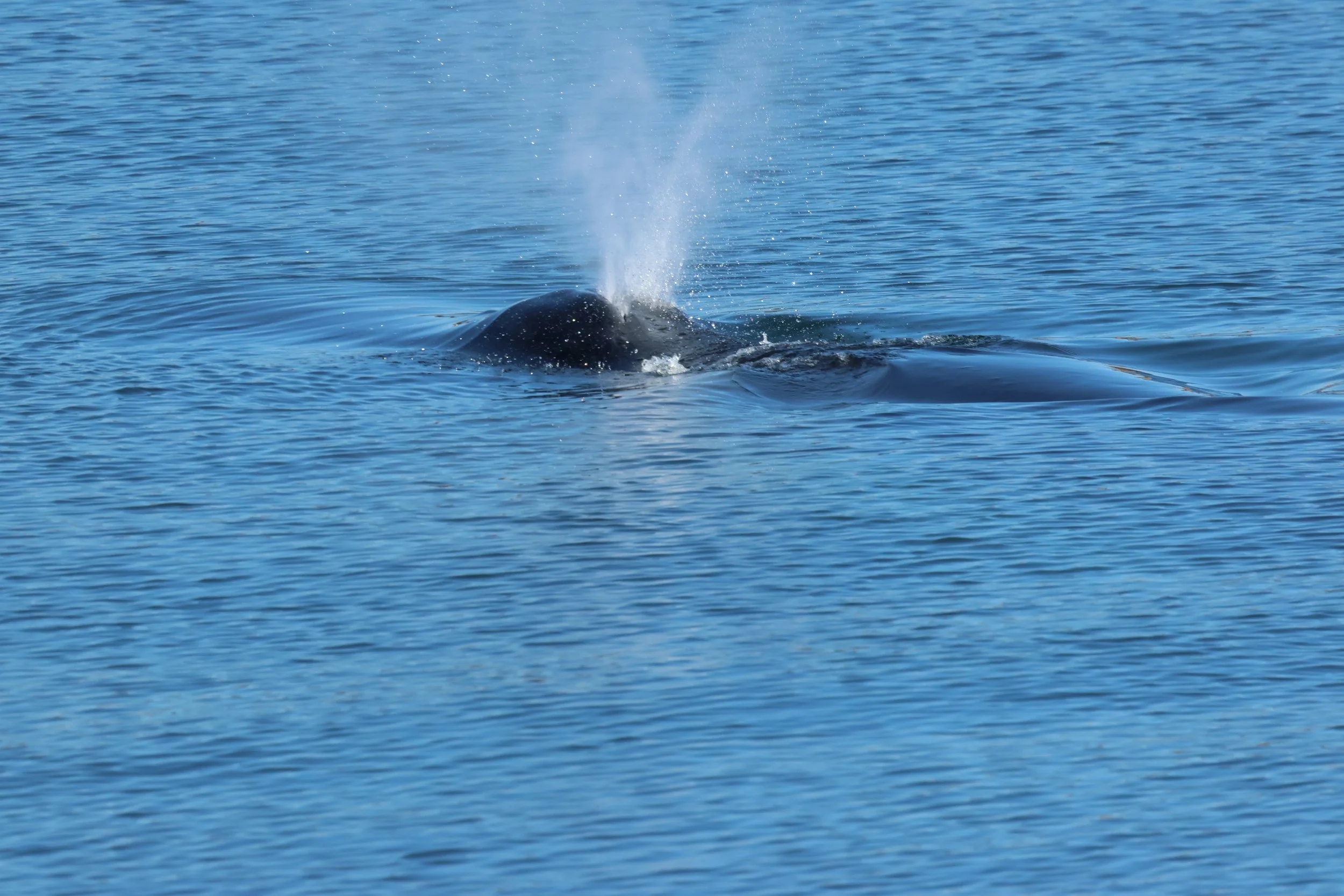 2026_04_19_0900_KON_GISELA (14).JPG