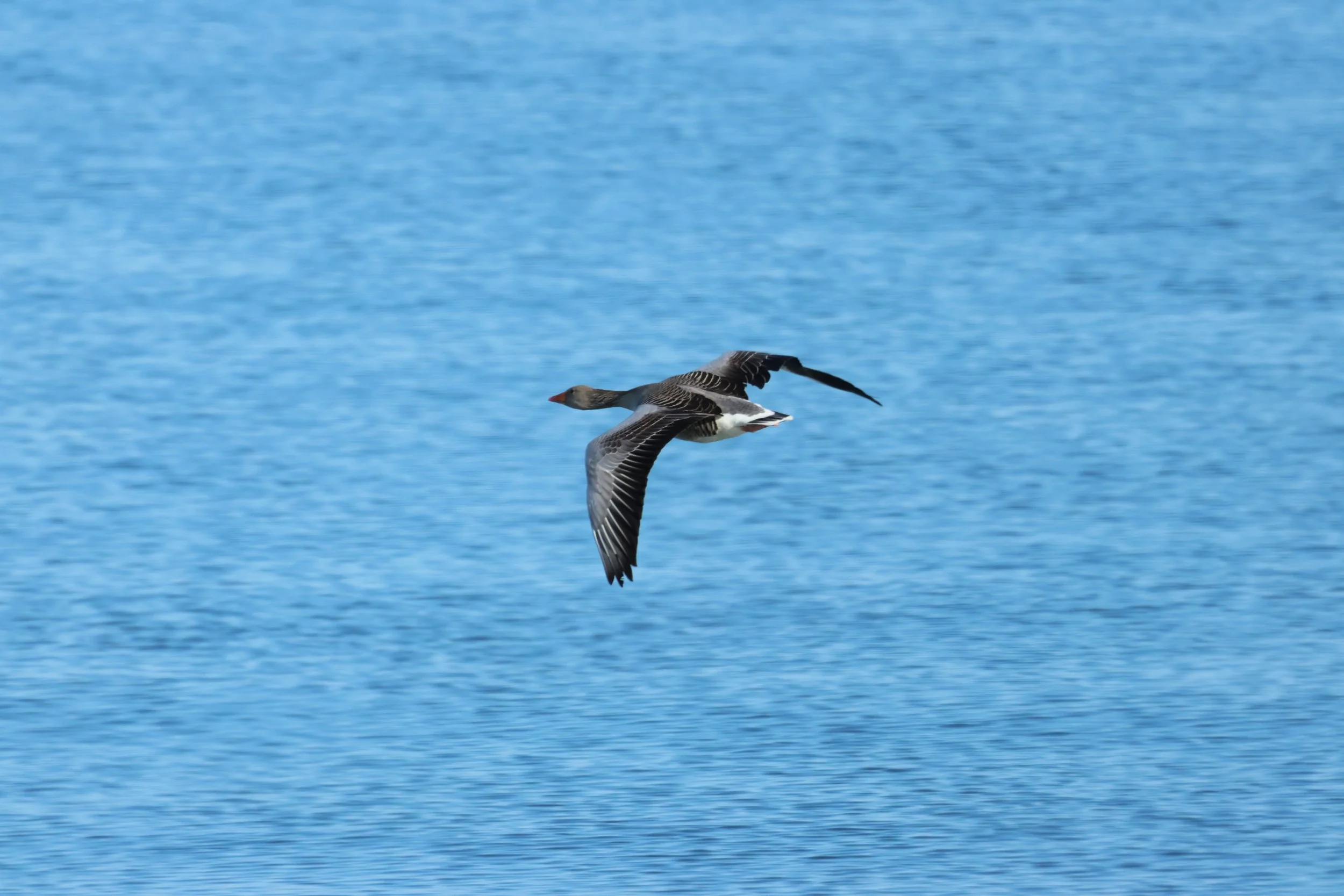 Sunday, 19 April 2026