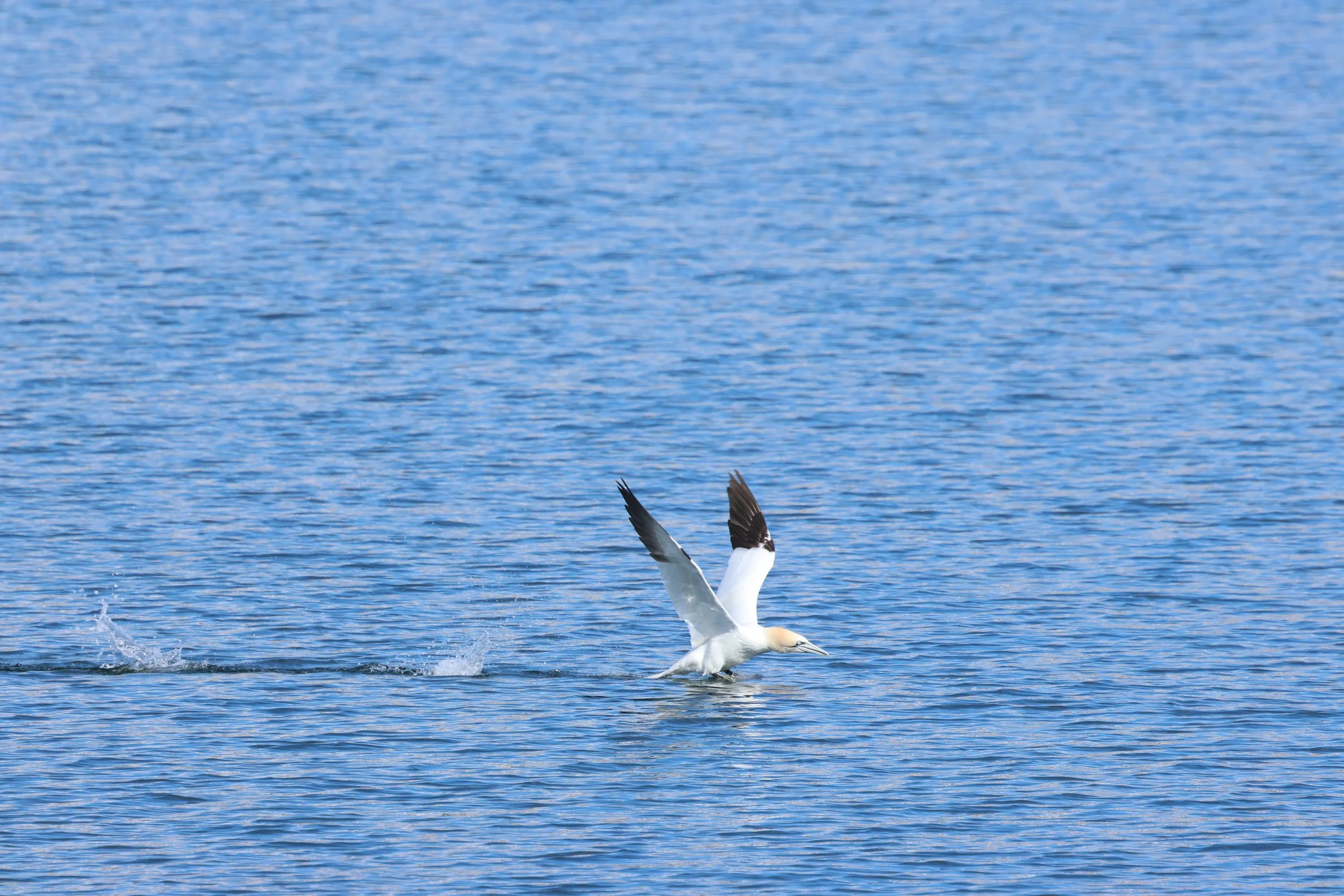 2026_04_20_1300_KON_GISELA (30).JPG