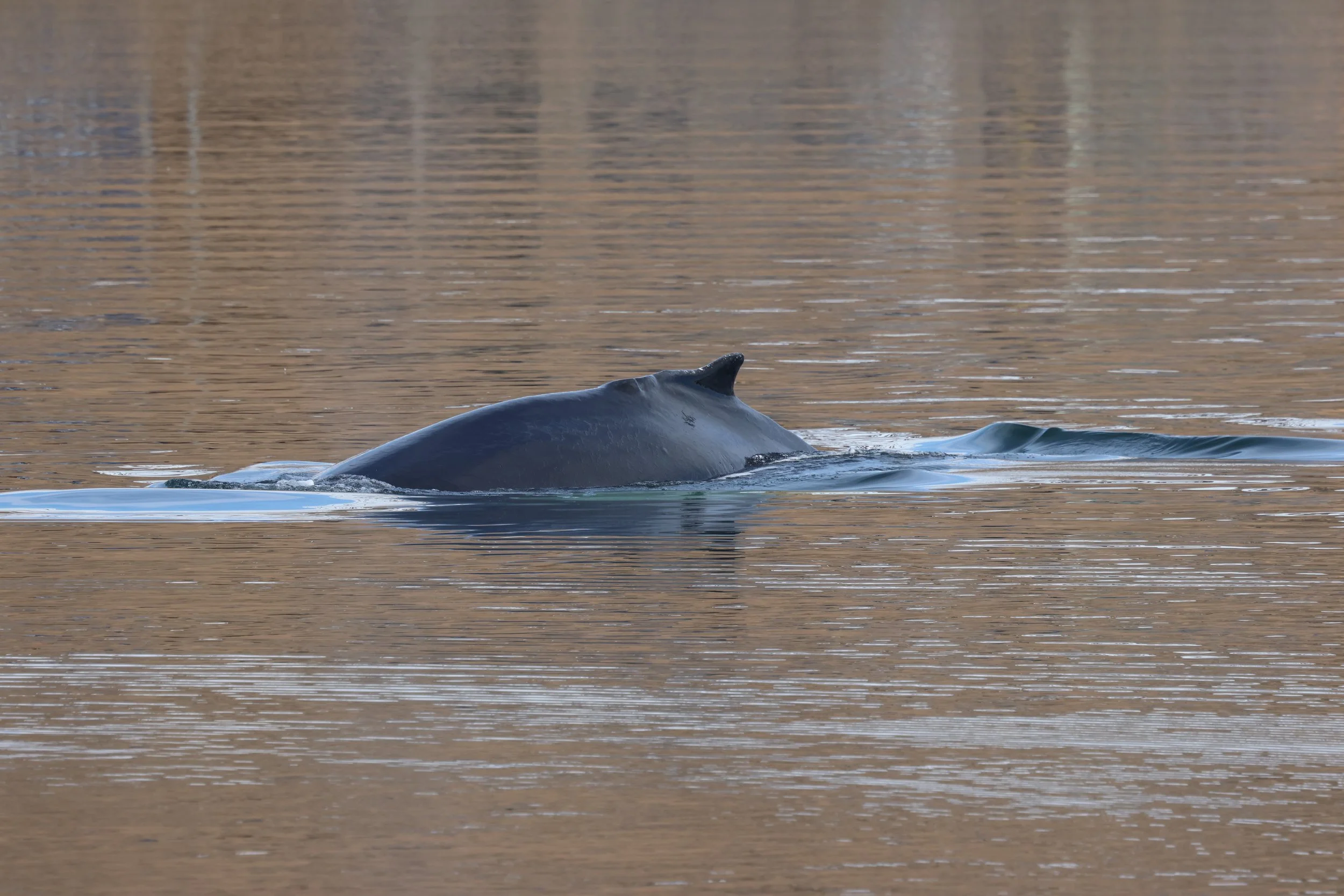 2026_04_20_1300_KON_GISELA (77).JPG