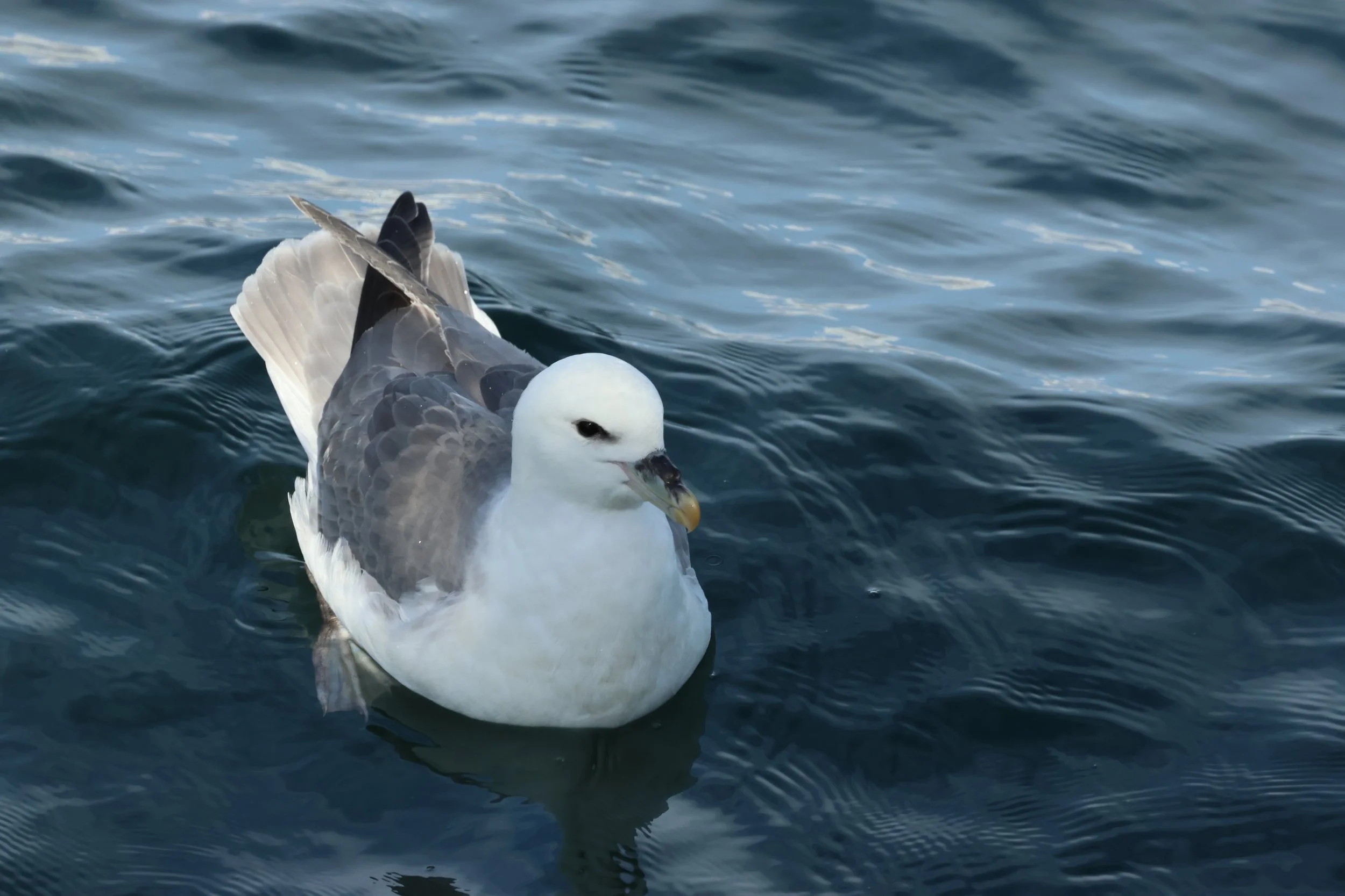 Monday, 20 April 2026