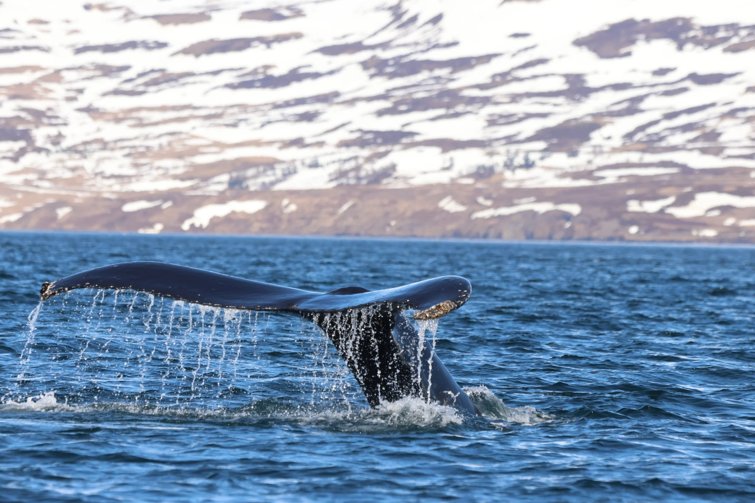 Tuesday, 21 April 2026