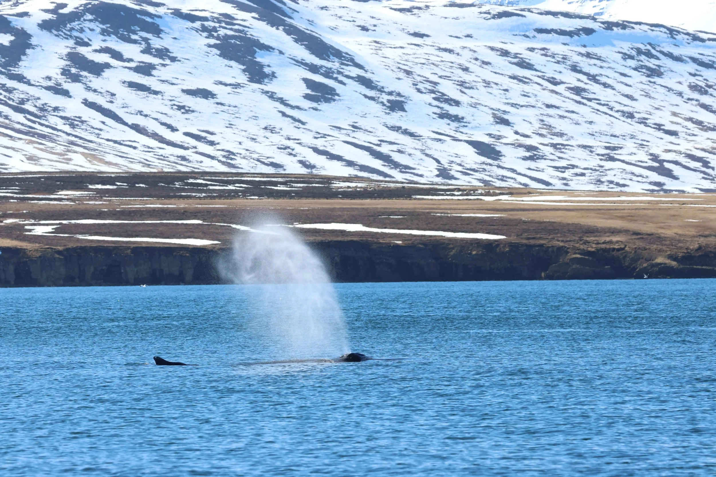 2026_04_22_1400_DIP_GISELA (49).JPG