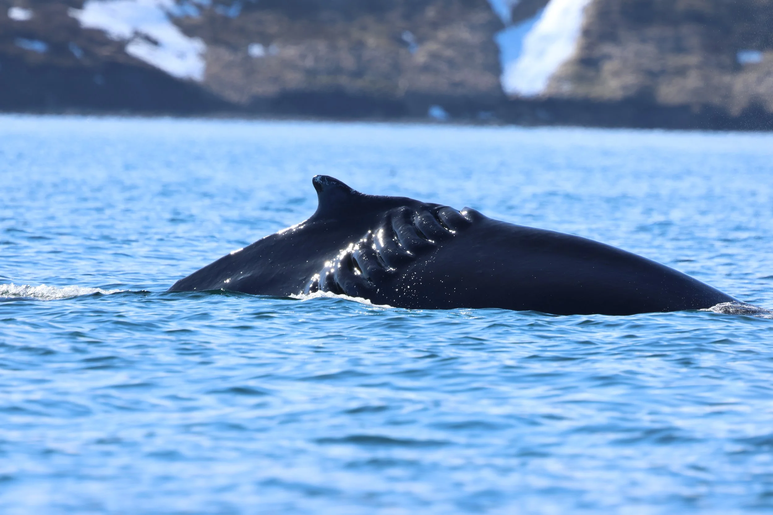 Wednesday, 22 April 2026