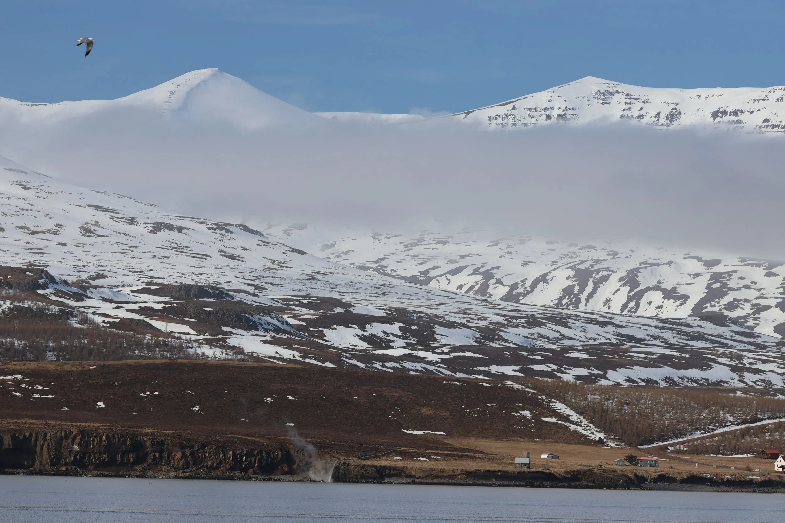 2026_04_23_0900_DIP_GISELA (13).JPG