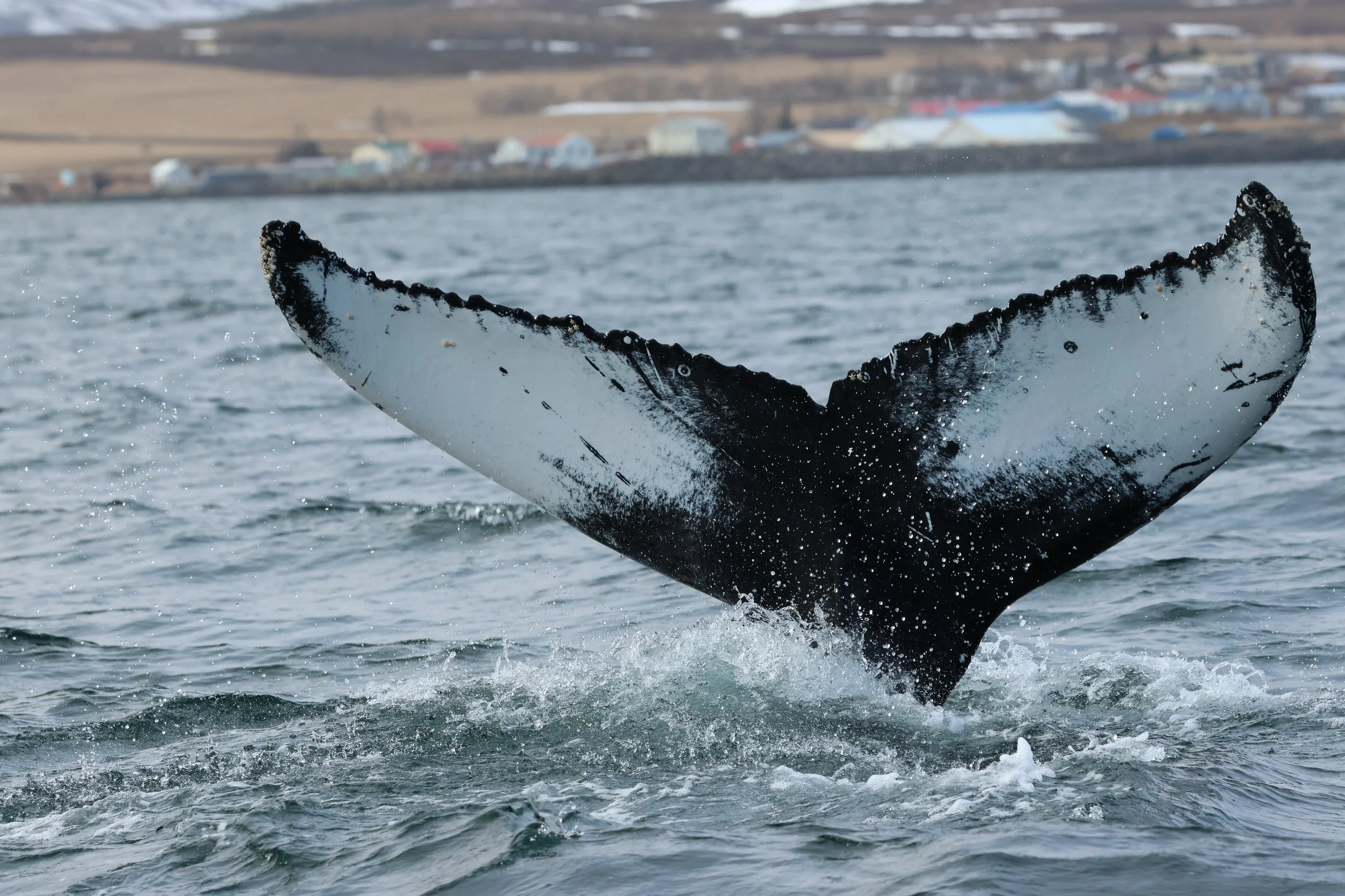 Thursday, 23 April 2026