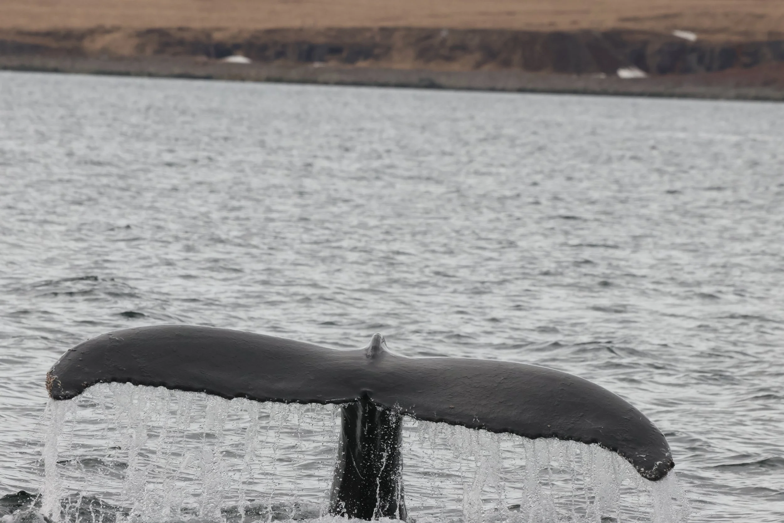 Saturday, 25 April 2026