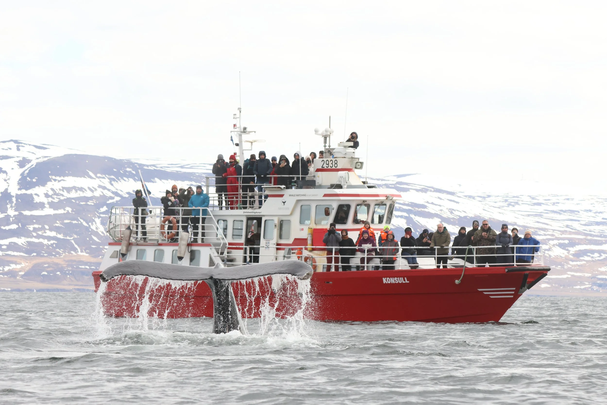 2026_04_26_1400_SOL_JACOB (20).JPG