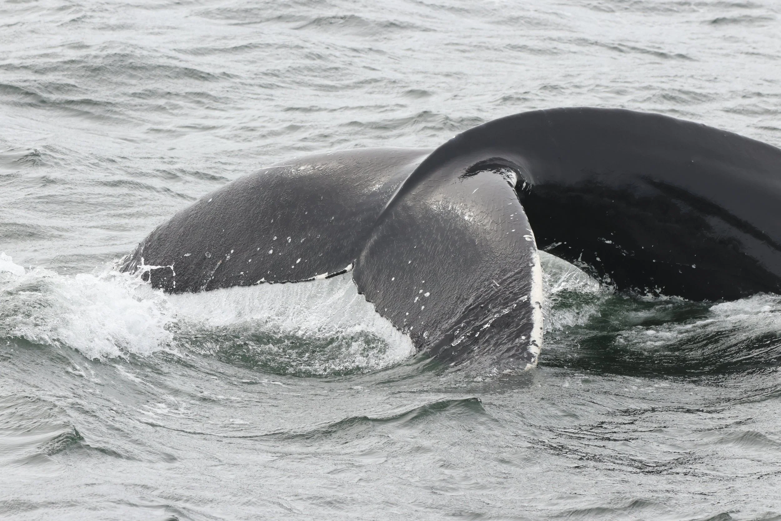 Monday, 27 April 2026