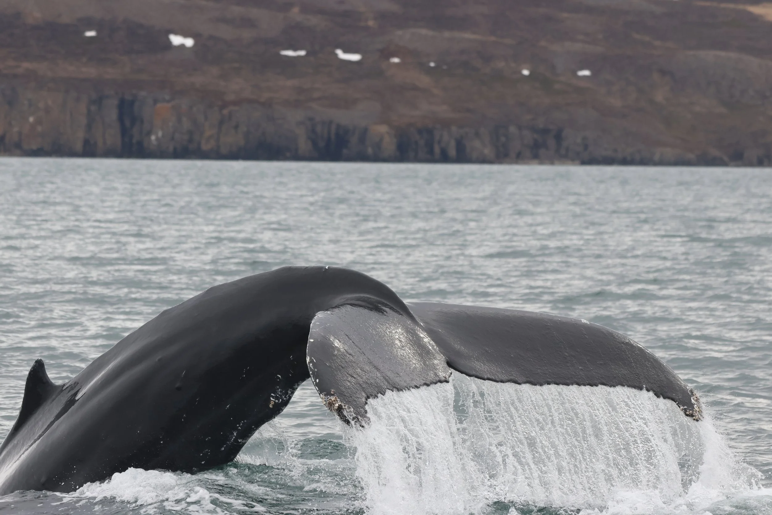 2026_04_30_0900_KON_JACOB (14).JPG