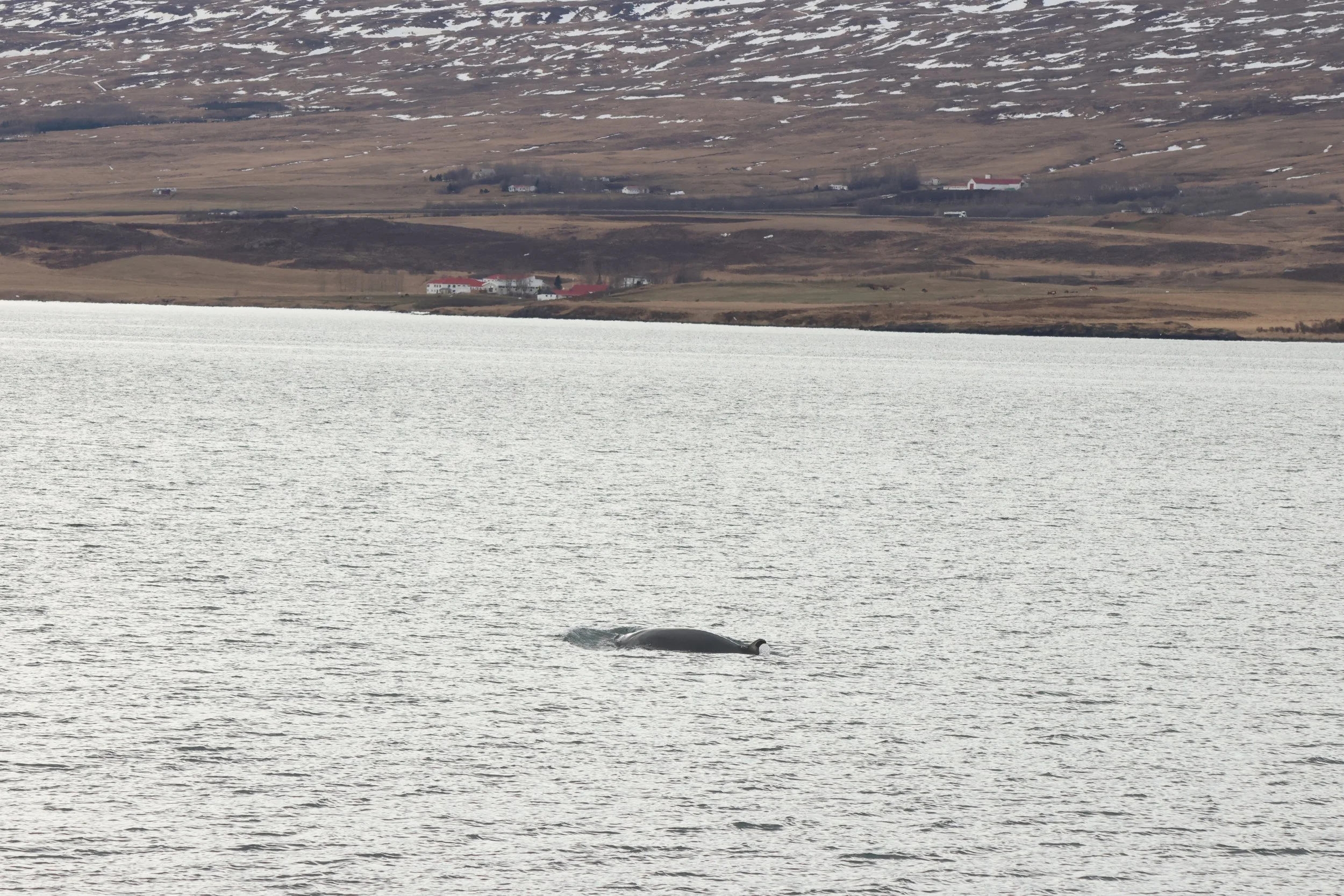 2026_04_28_0900_KON_YOANN (3).JPG