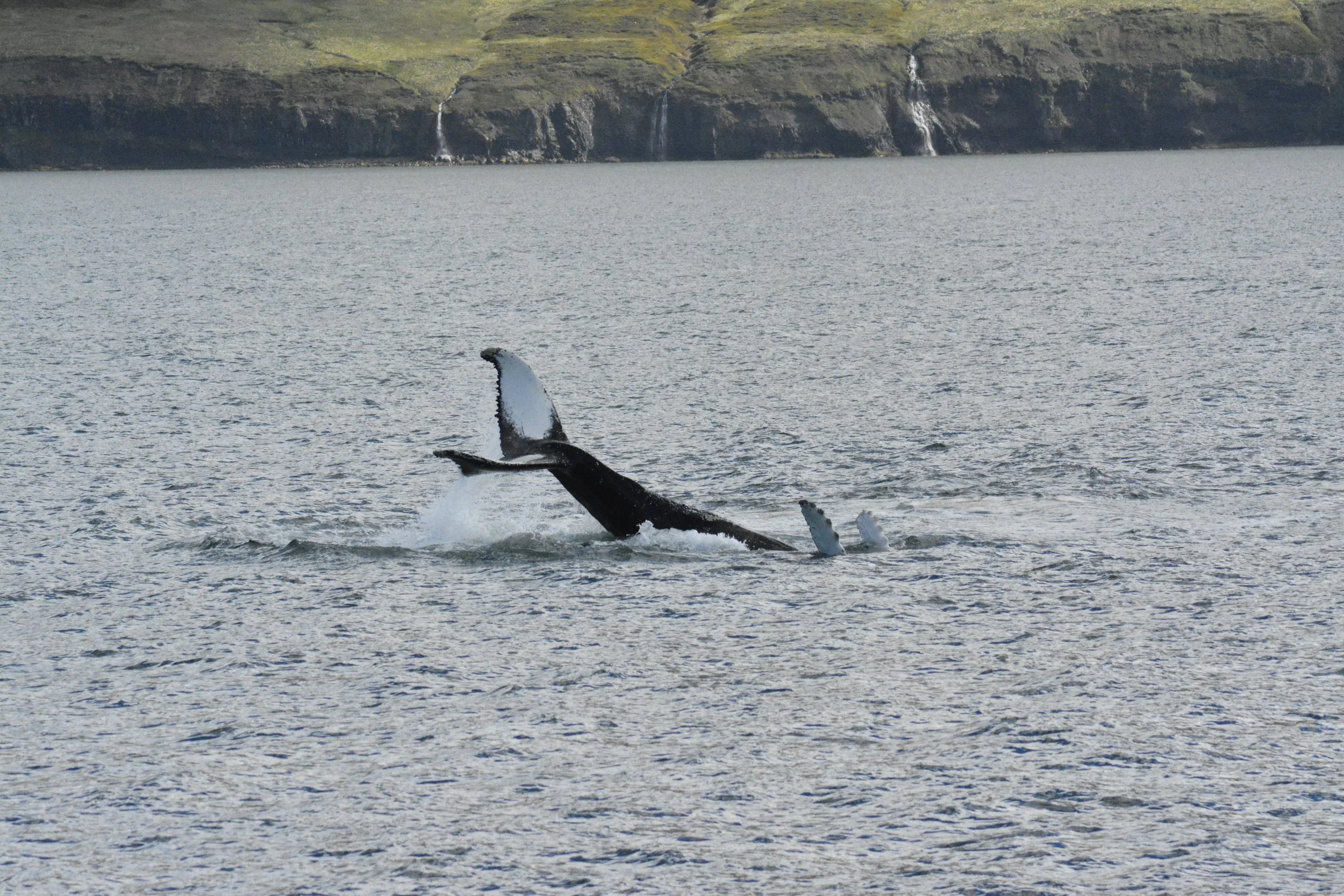 Tuesday, 9th June 2026