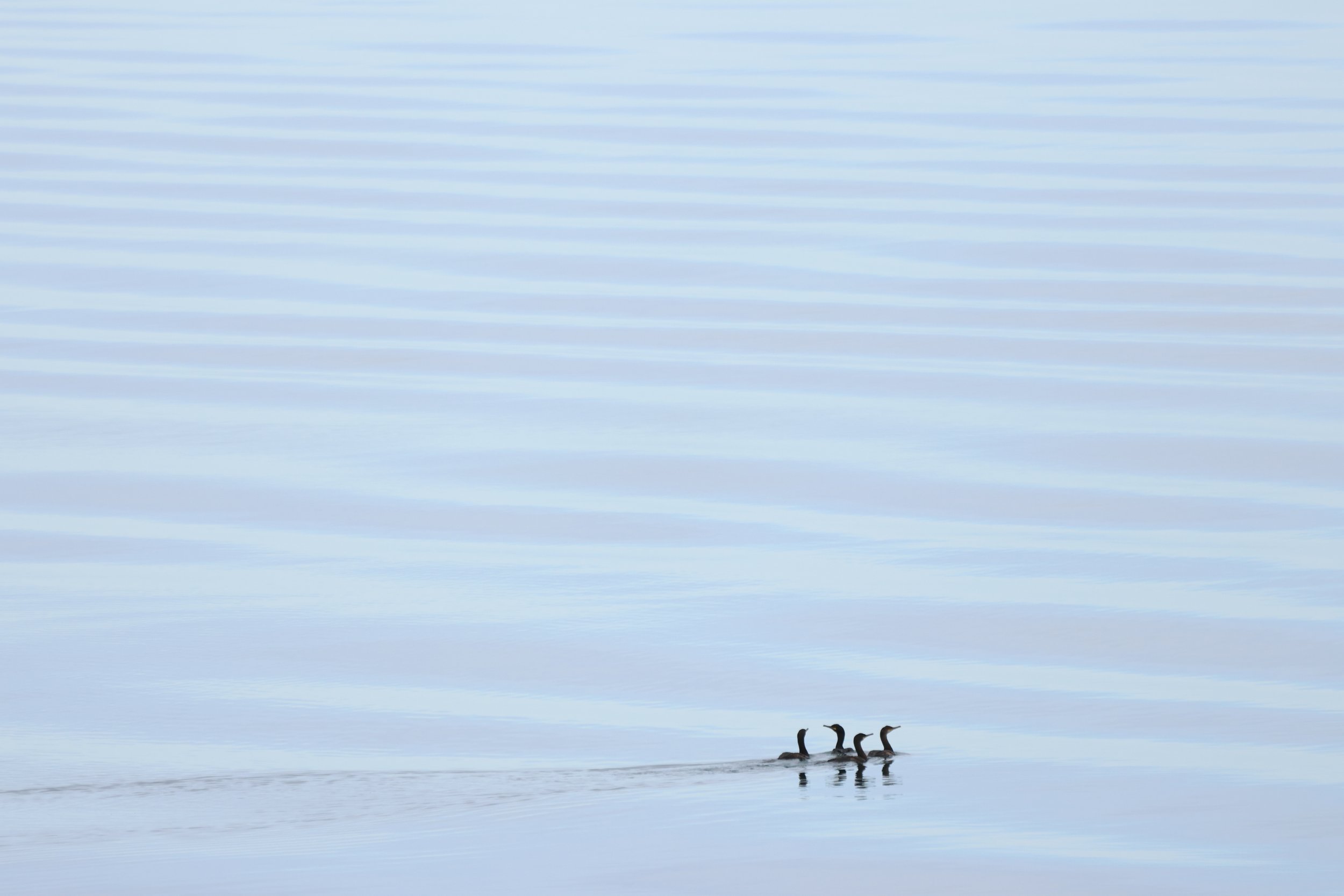 2026_06_27_0900_HOL_TENA (13).JPG