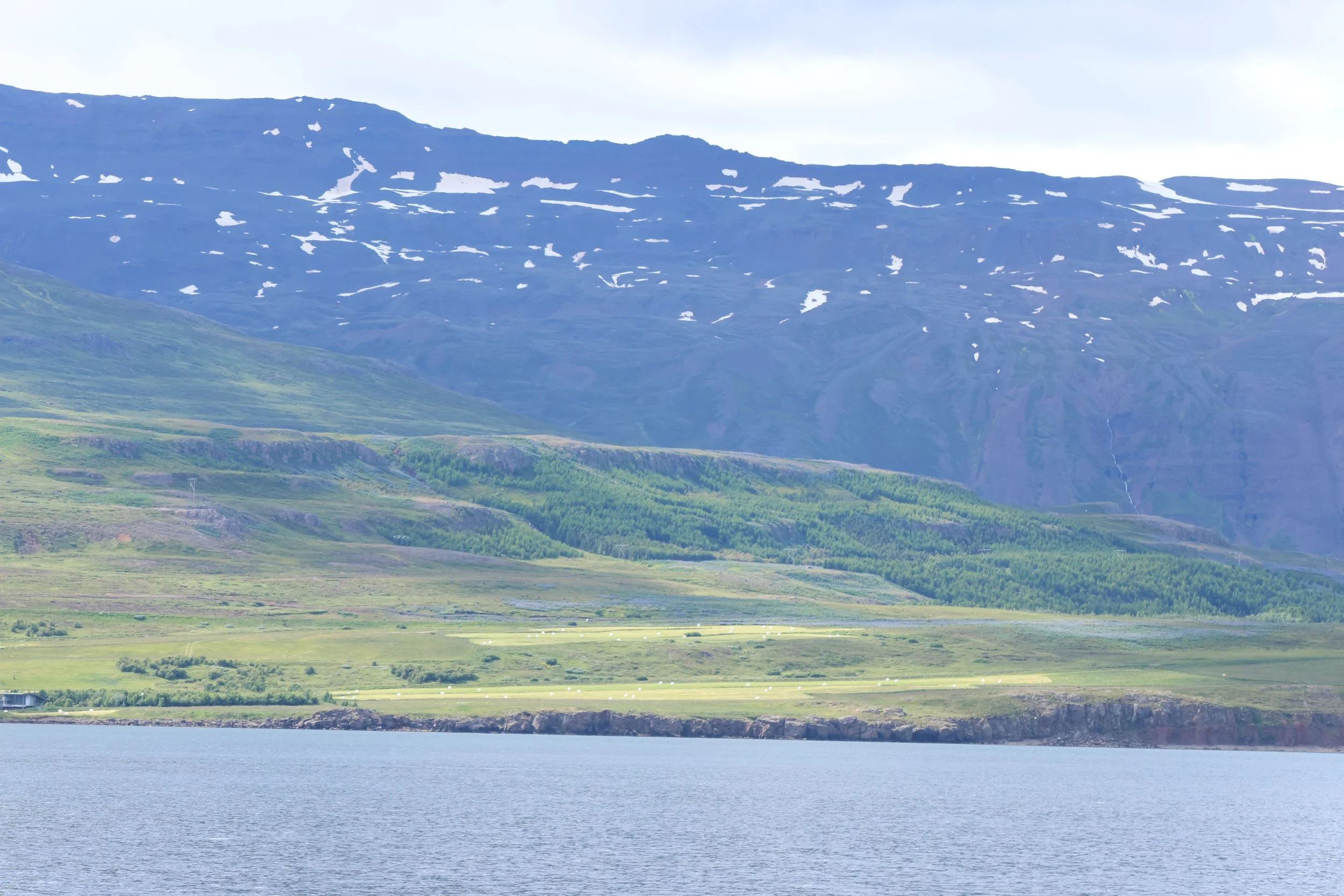 2026_07_10_1300_HOL_TENA (25).JPG