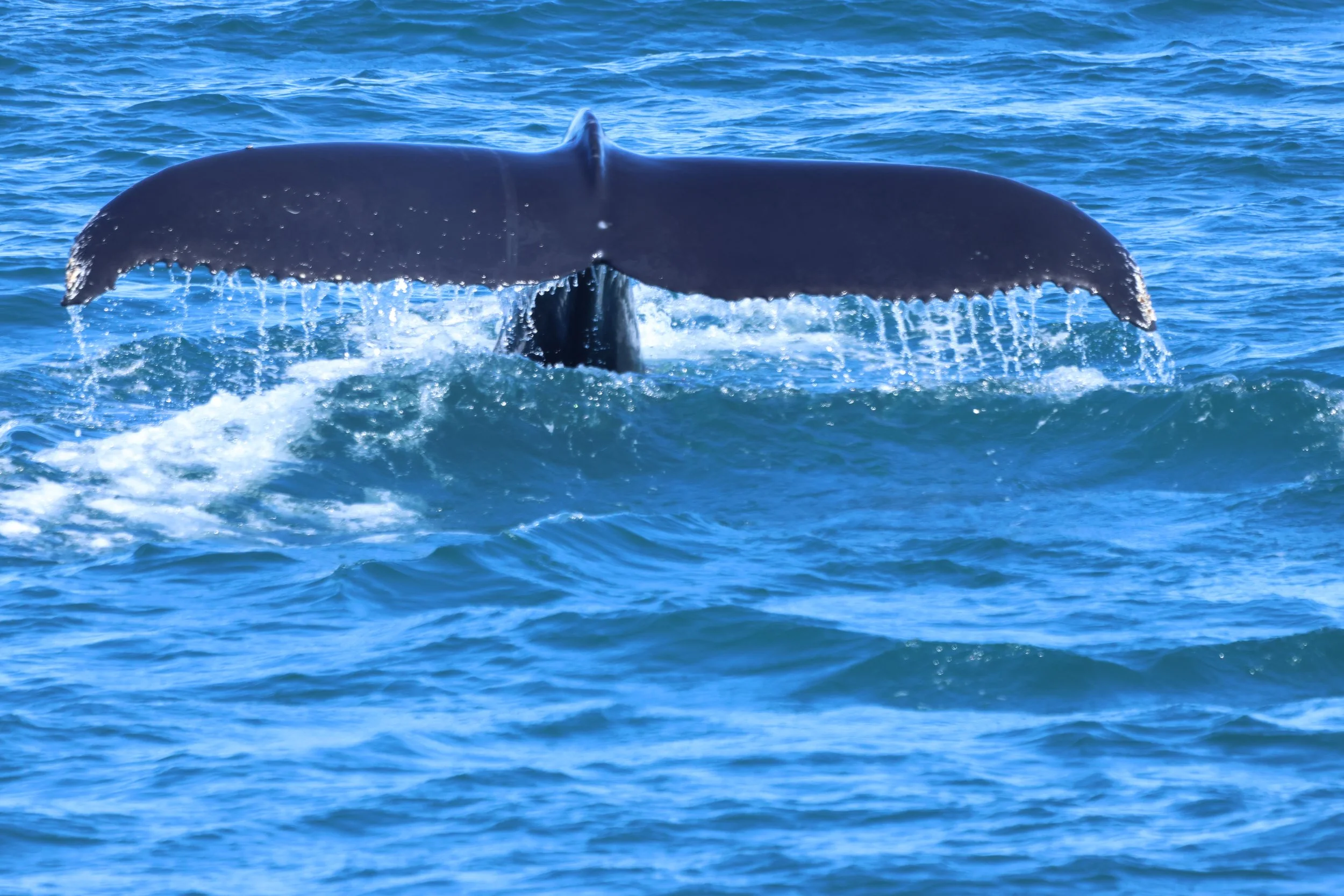 2026_07_17_0900_AMB_Lenka (136).JPG