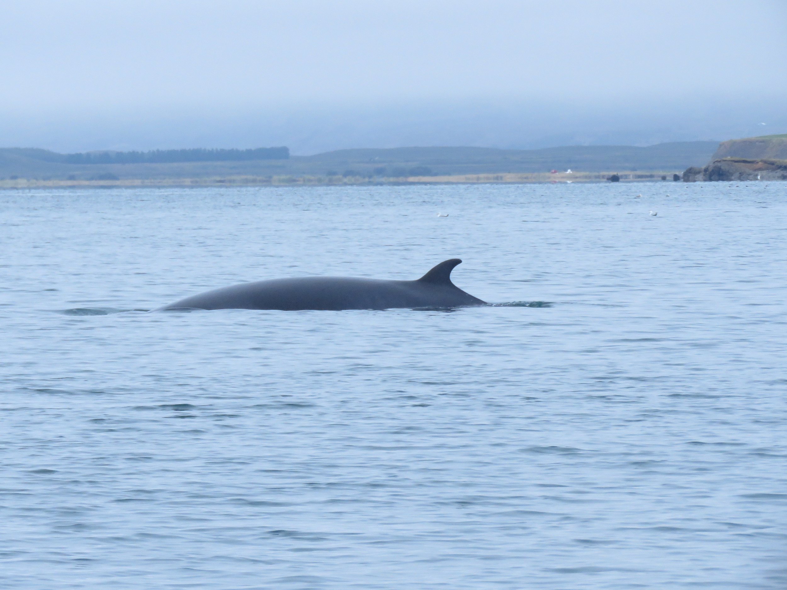 Wednesday, 19th August 2026