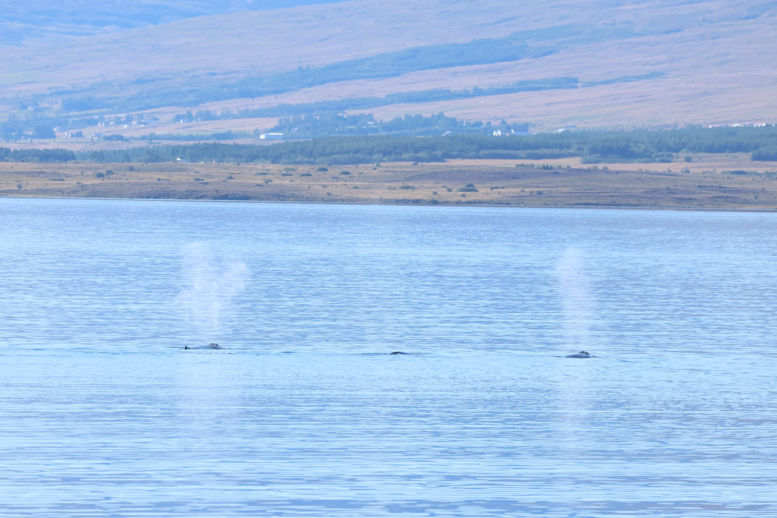 Tuesday, 8th September 2026