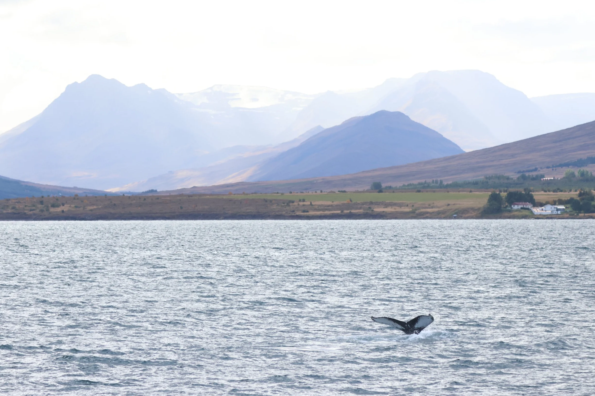 Monday, 21st September 2026