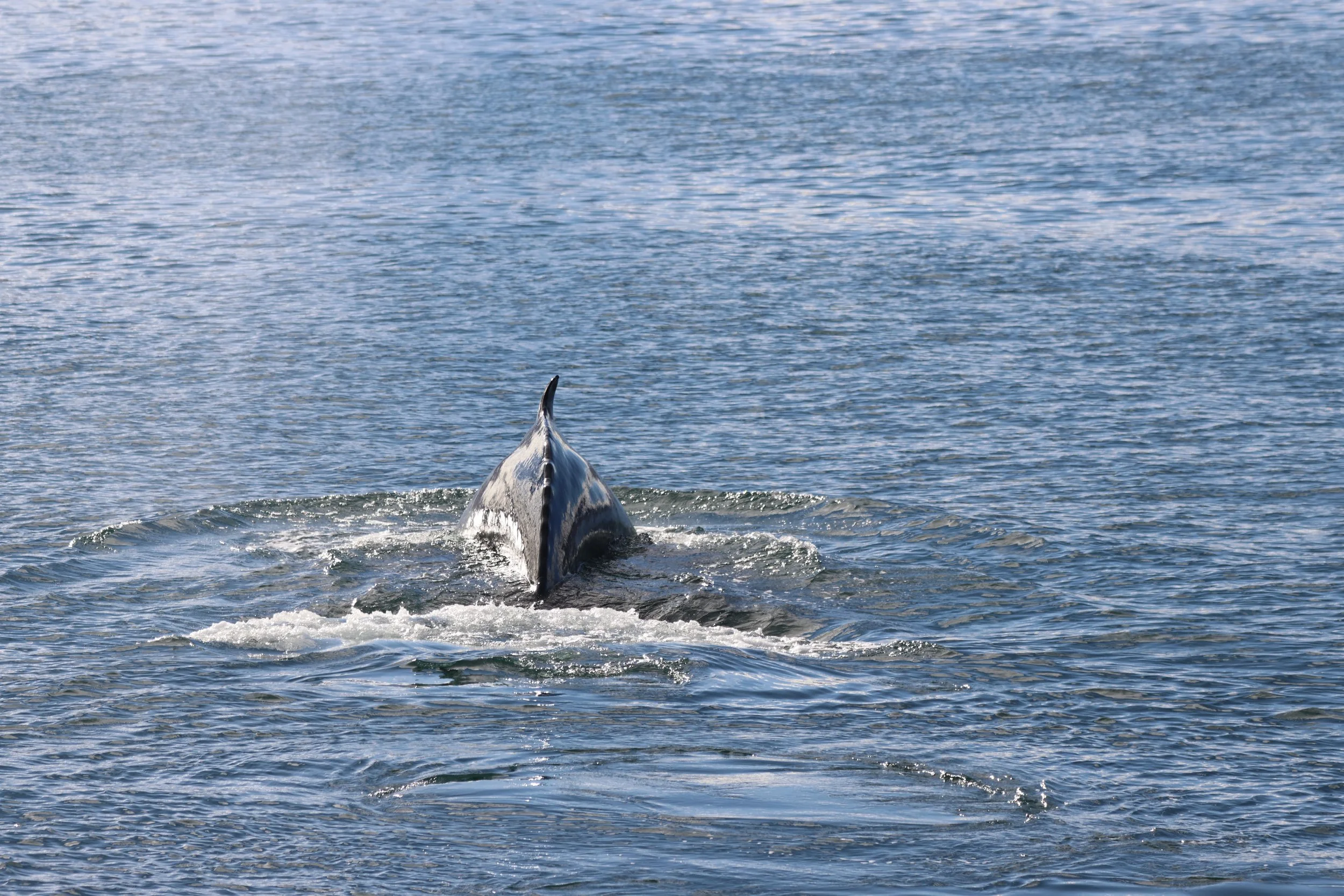 Sunday, 27th September 2026