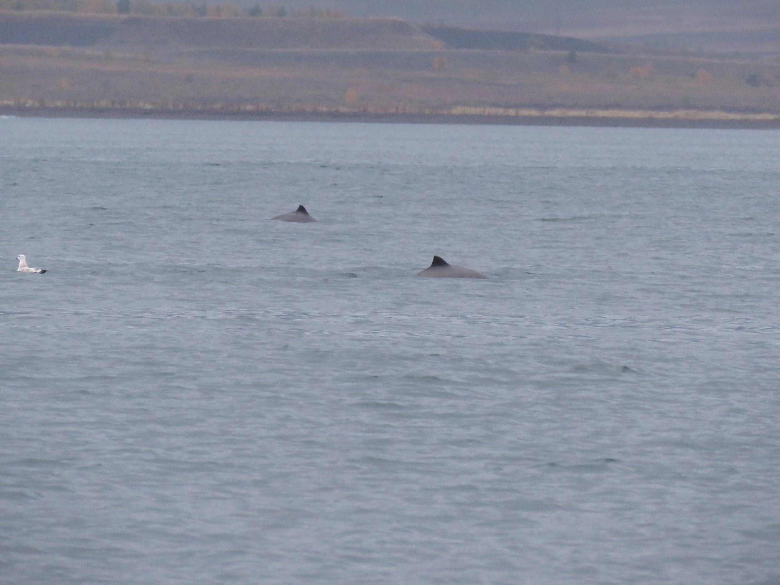 2026_09_29_1400_SOL_TENA (21).JPG