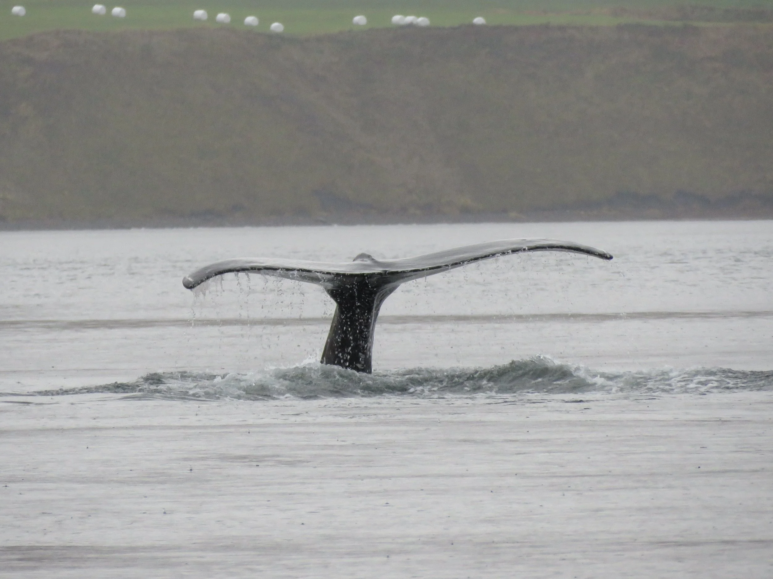 Tuesday, 29th September 2026