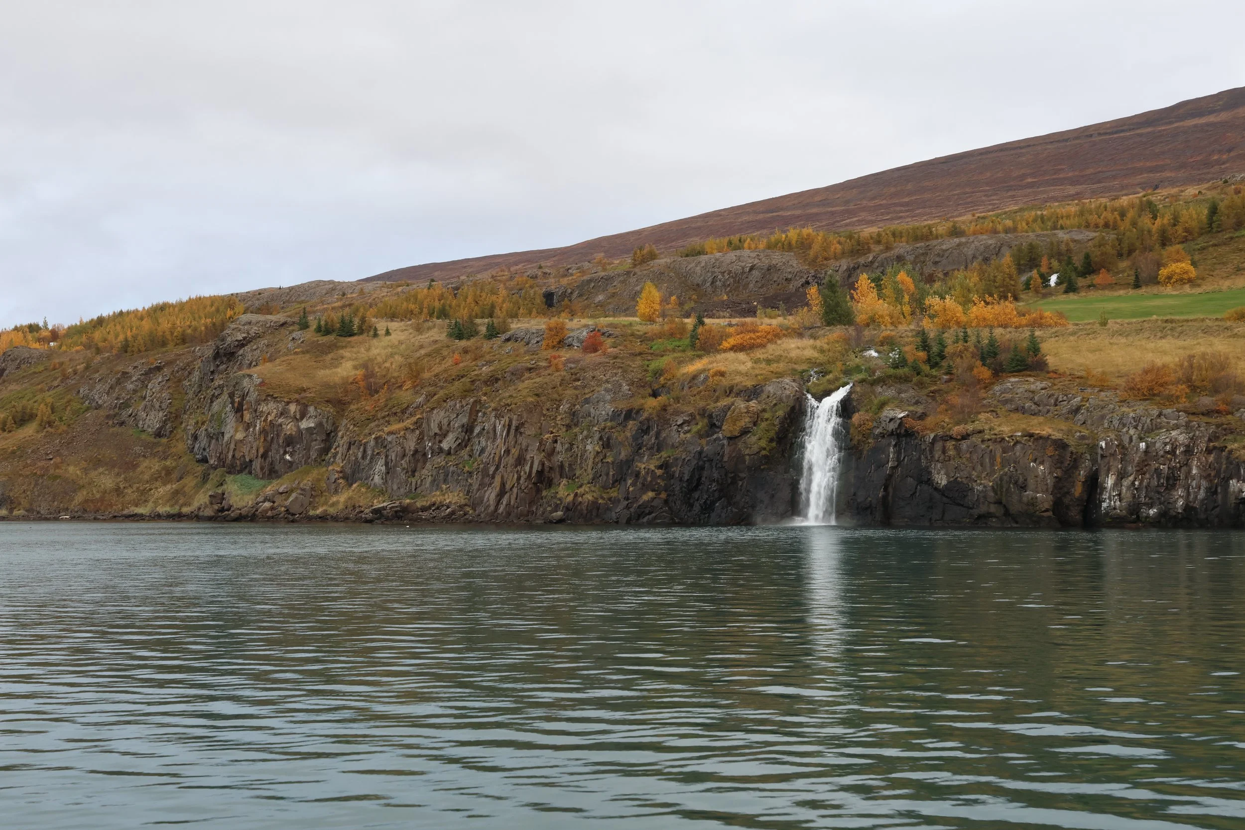 2026_10_04_0900_HOL_Gema (1).JPG