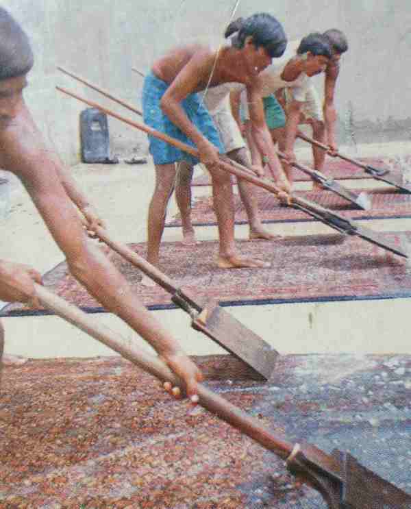 Tolk Wapenstilstand wagon Perzisch tapijt reinigen| Ambachtelijk vakkundig — Derag Perzische Tapijten