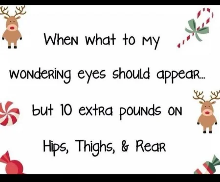6246ffe6dd56dcc0a5f1bf3c4e202367--christmas-humor-christmas-time.jpg