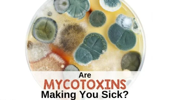 Mycotoxin Mold Mould Test Great Plains Mosaic Labs Urine Test 