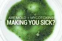 What is Mould Illness?