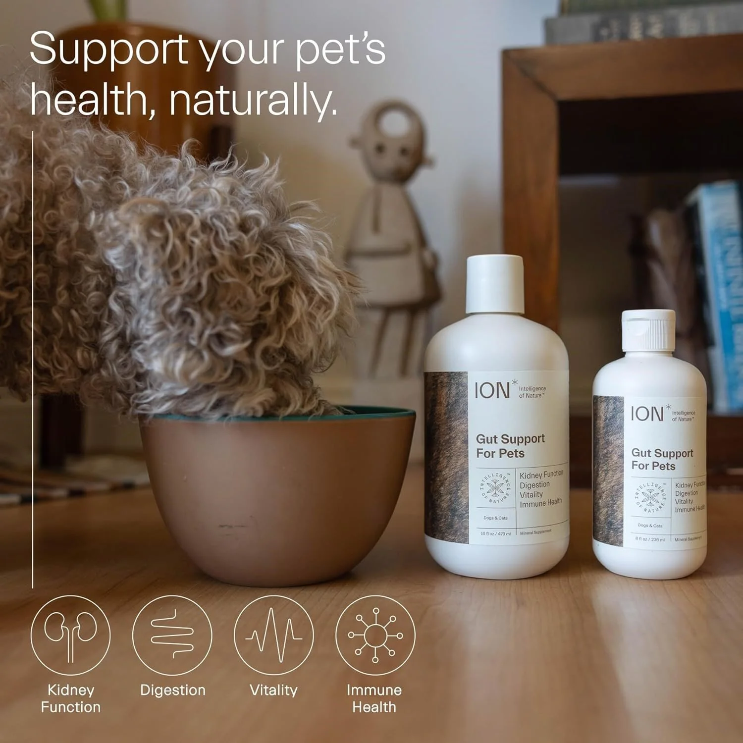 gut-support-for-pets-2.jpg