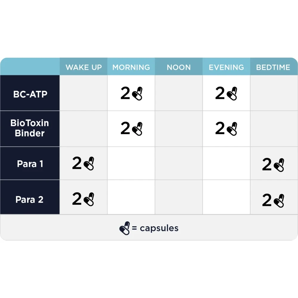 step-2-gut-immune-support-cellcore-biosciences_2.webp
